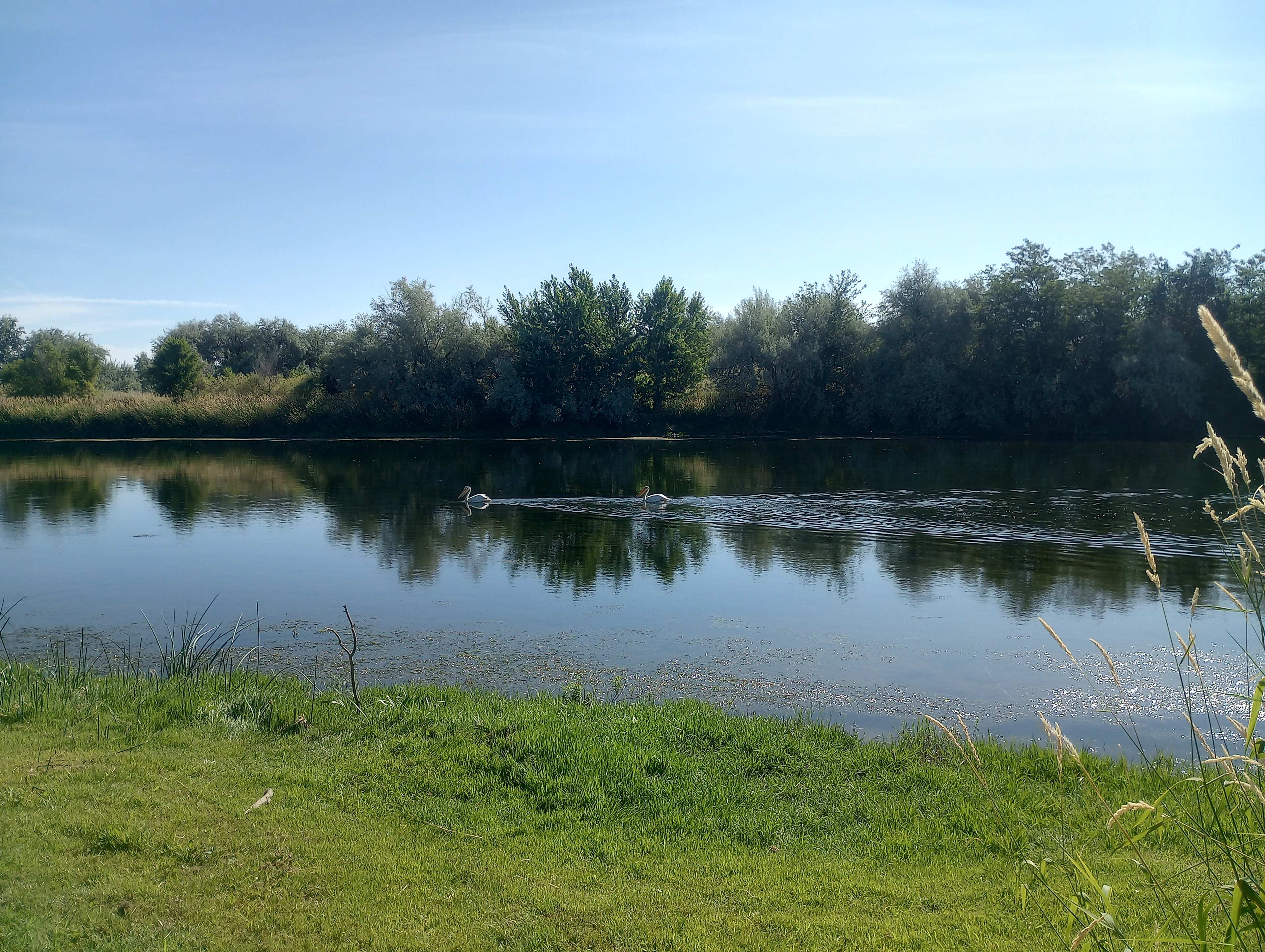 Pirate River