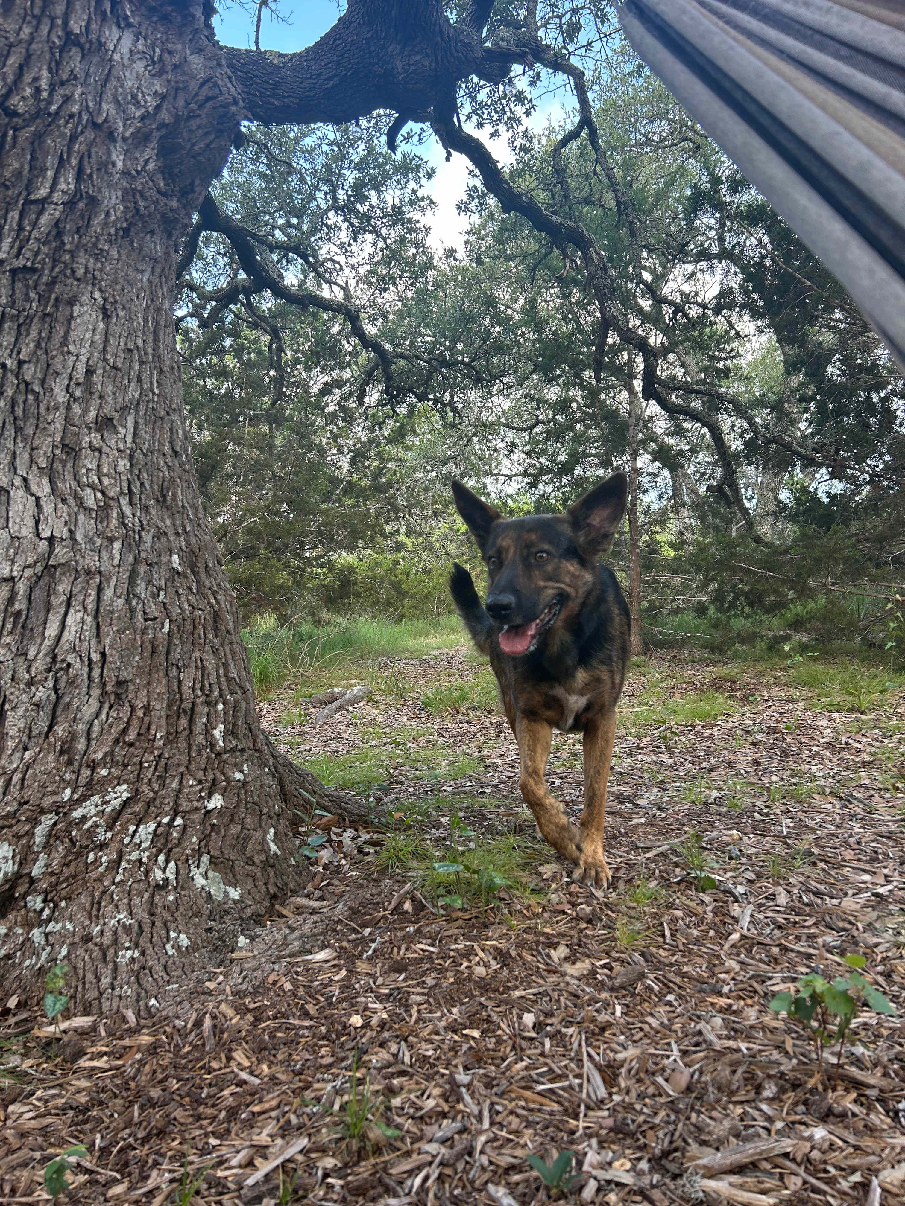 Hill Country Nature Retreat