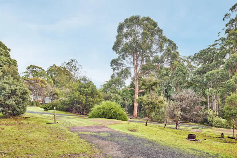 NRMA Port Arthur Holiday Park