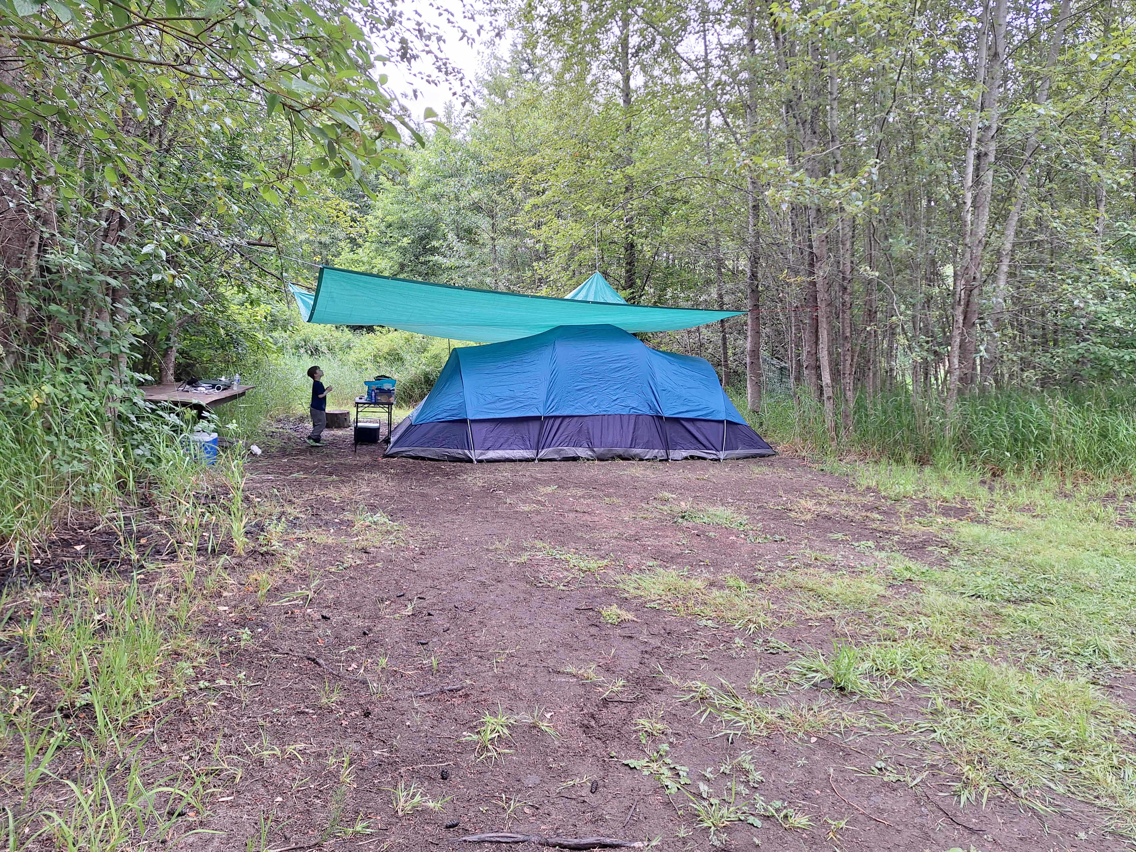 Site 6