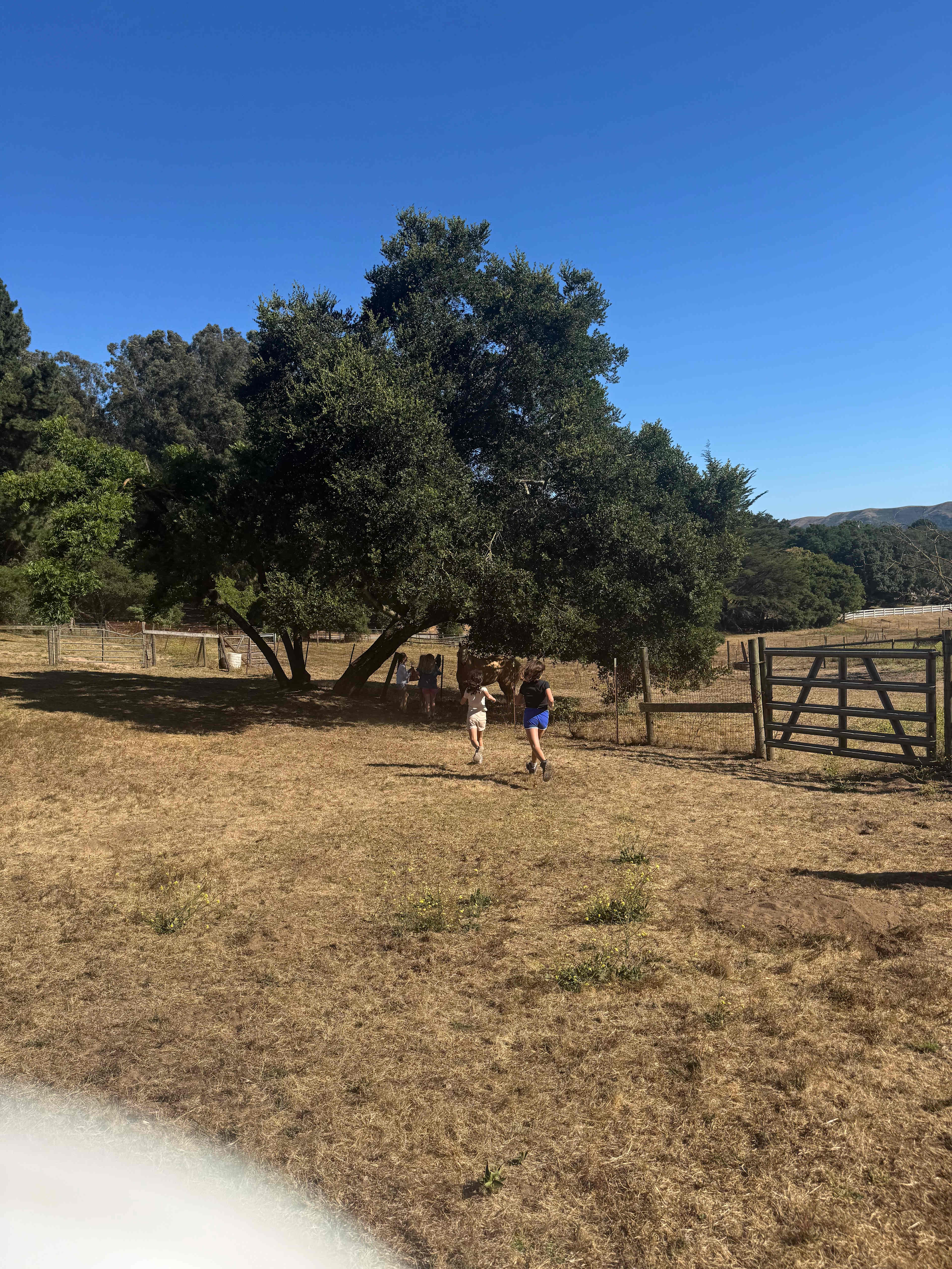 Nearby Getaway - Dogs Welcome!
