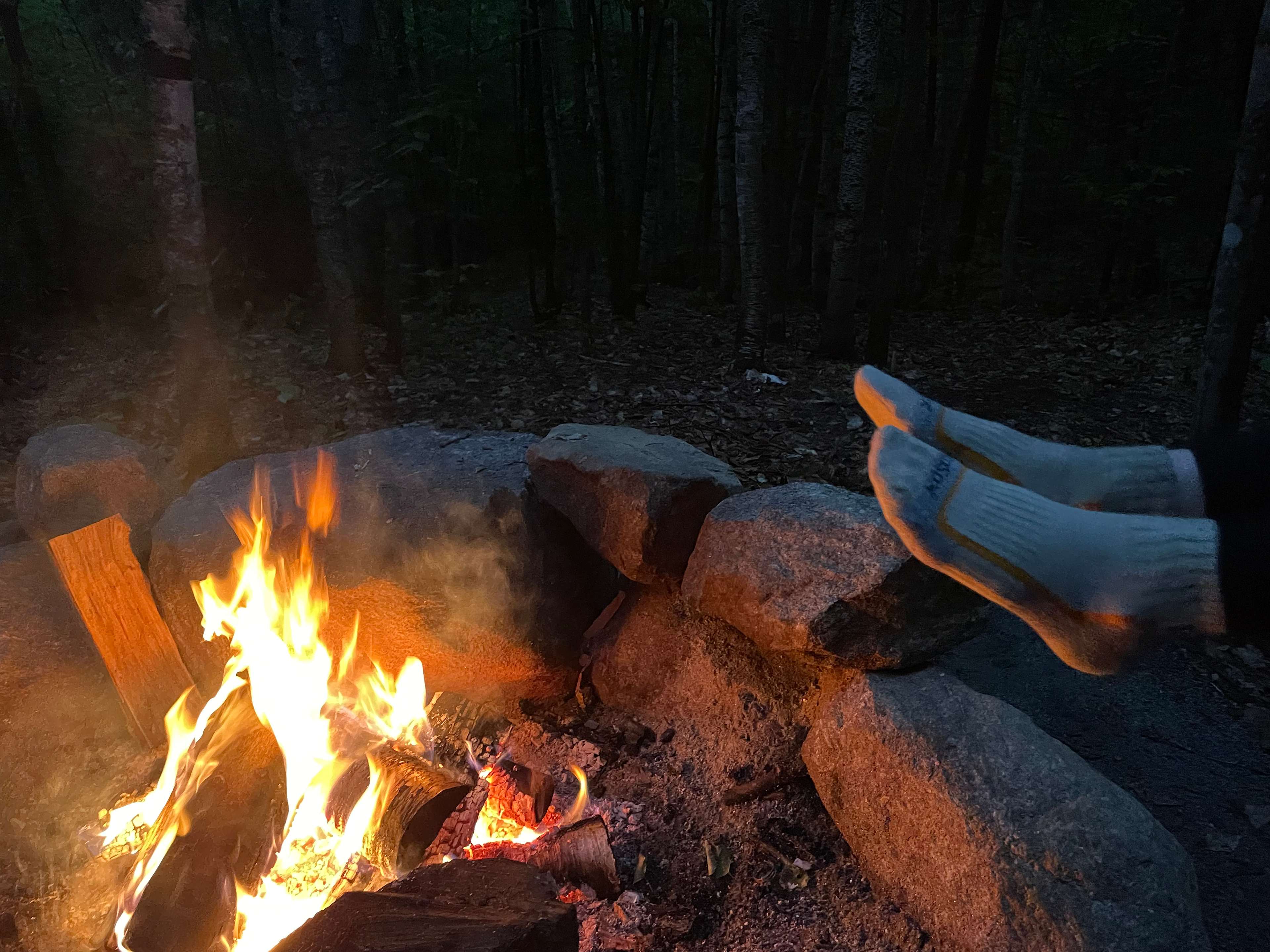 Roastin the dogs