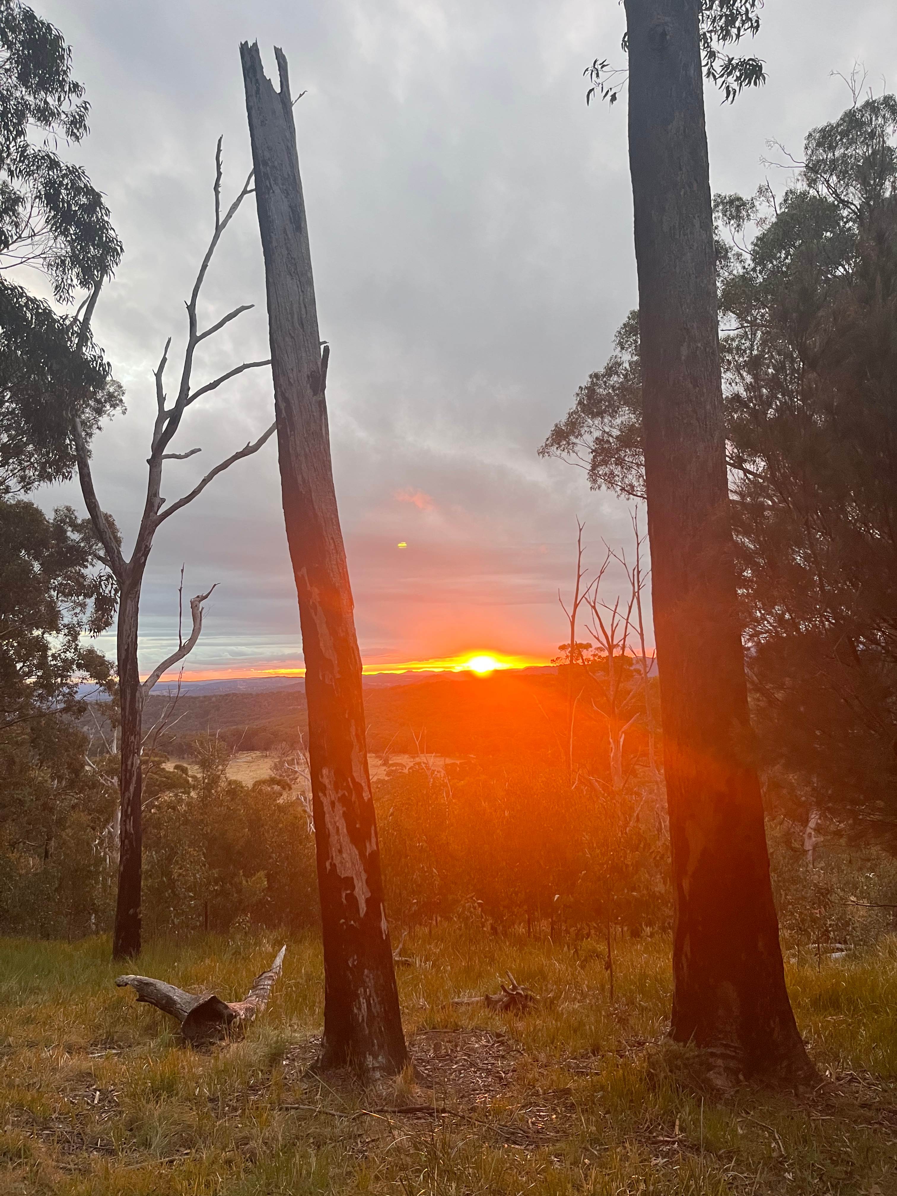 BAJIMBA Eco Camping and Farm Stay