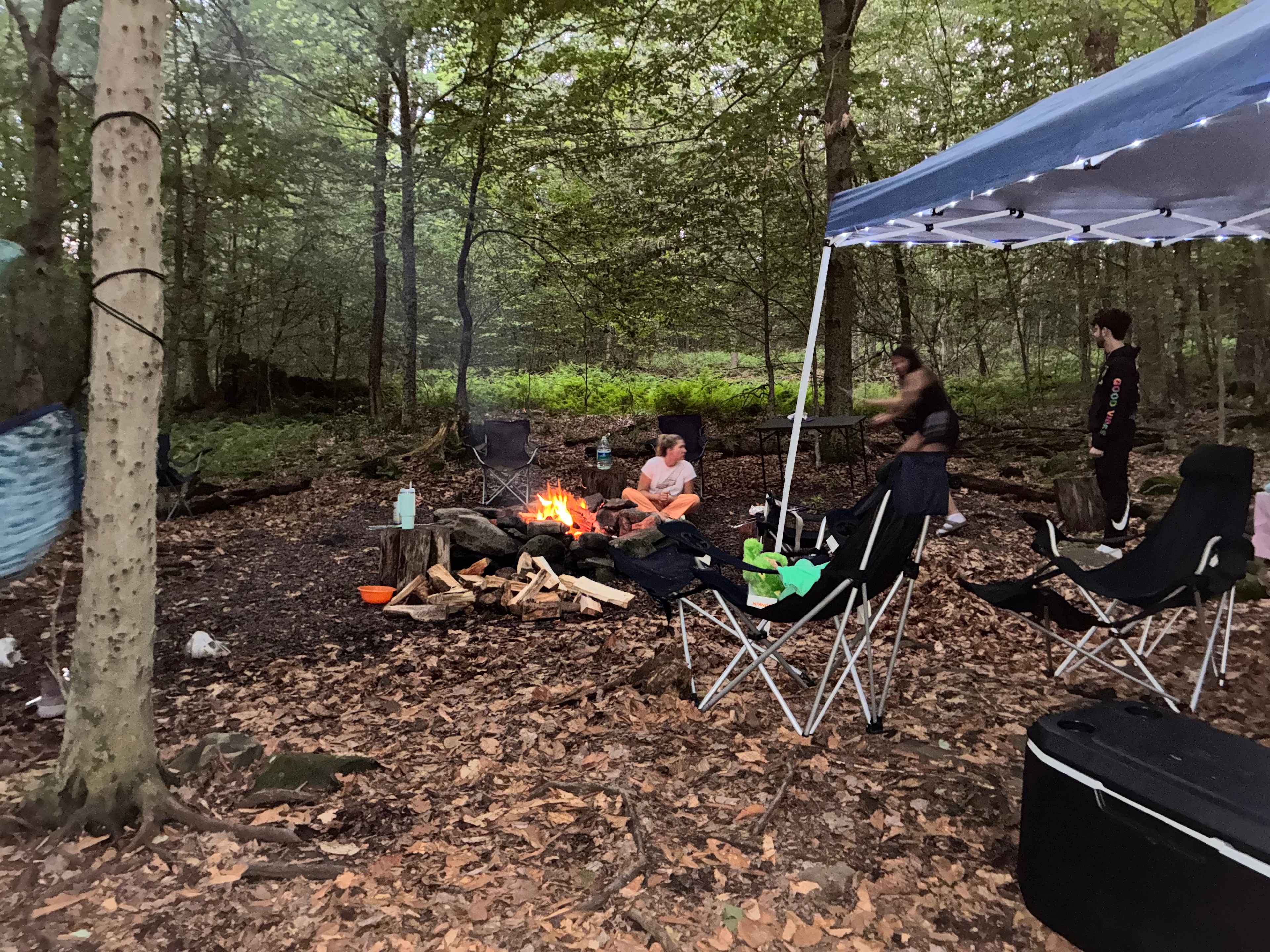 Blue Wind Nature Camp