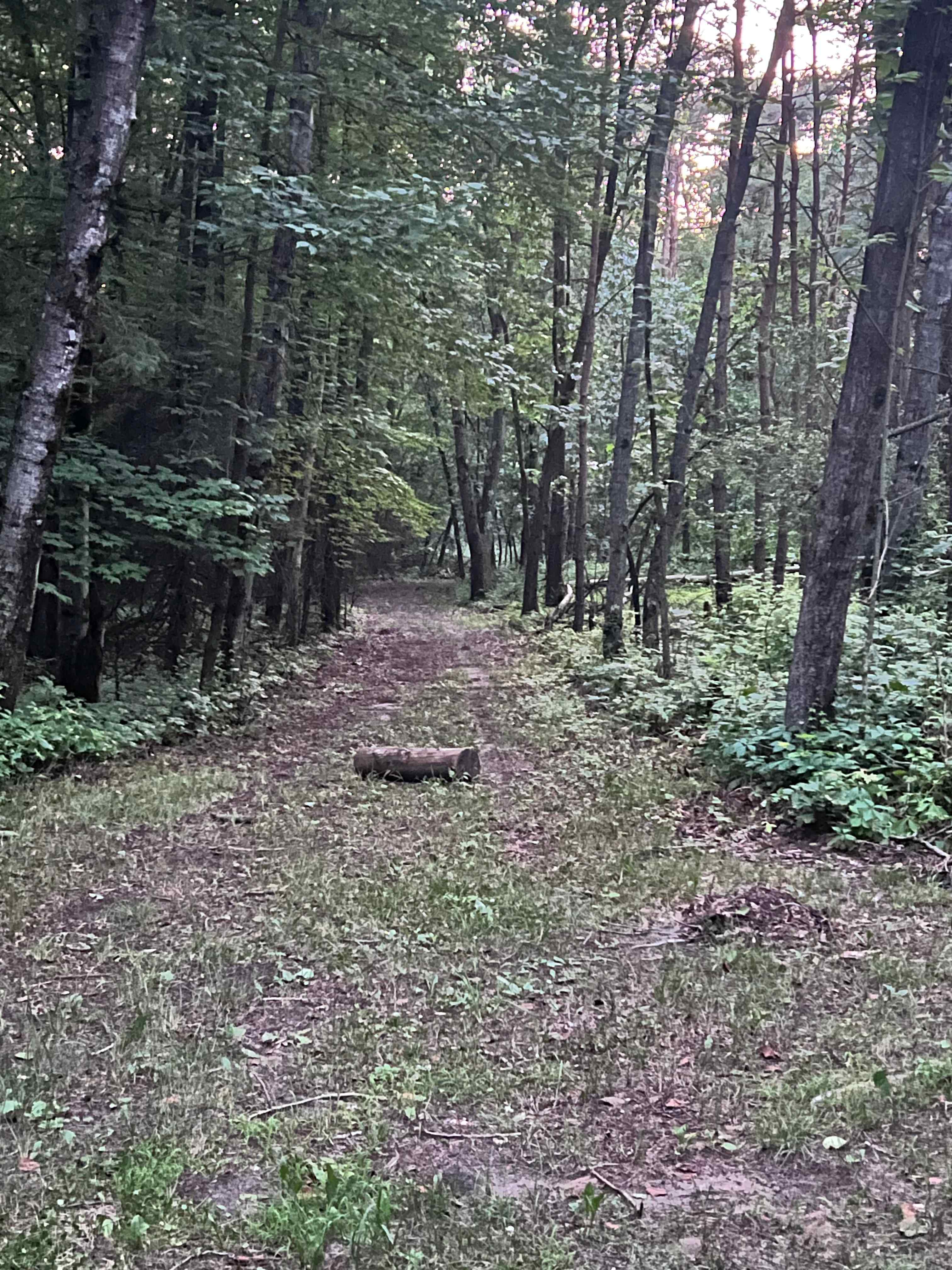 June 2025. One of the many paths to explore. 