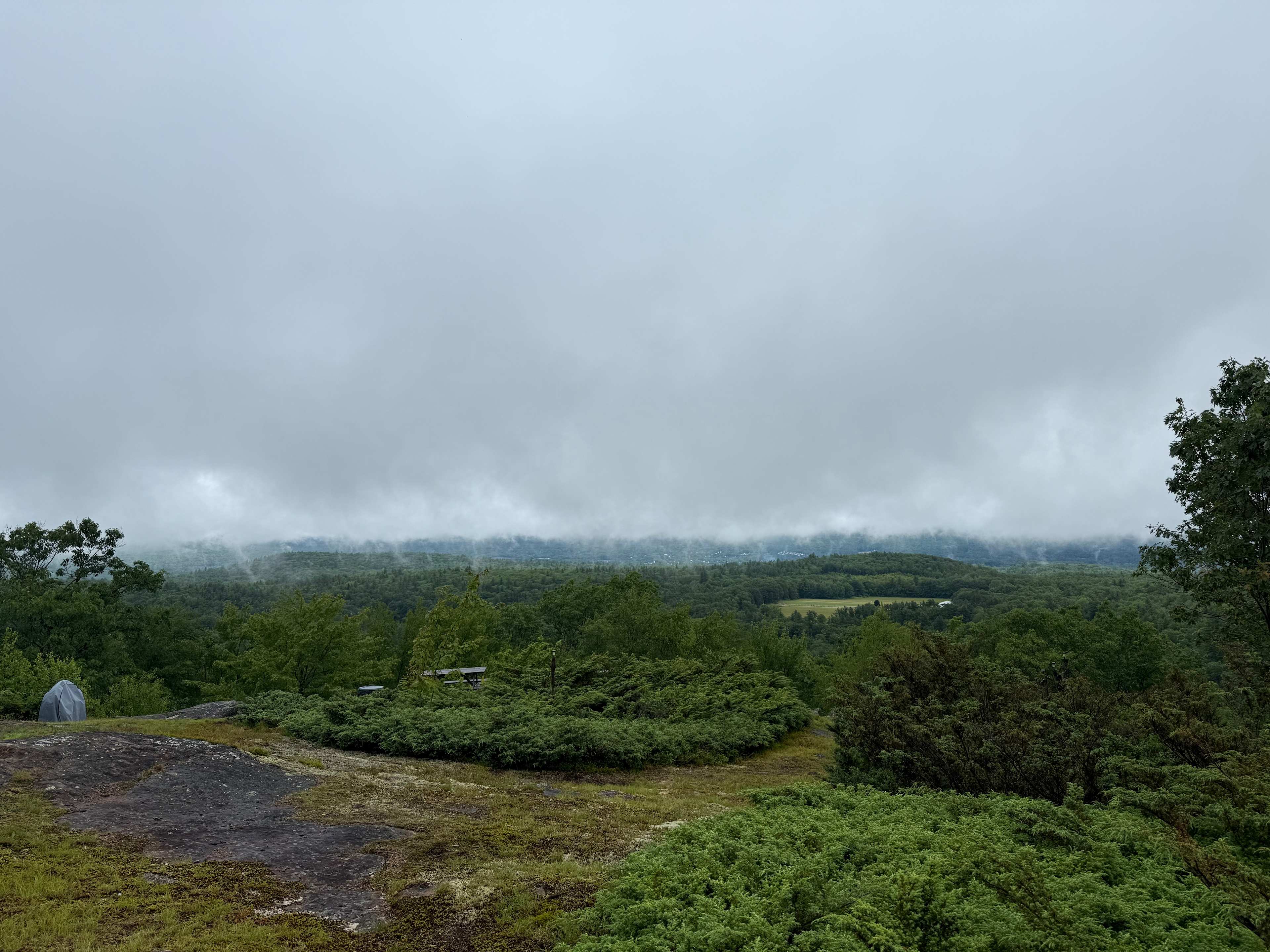 Hussey Mountain Tree Farm