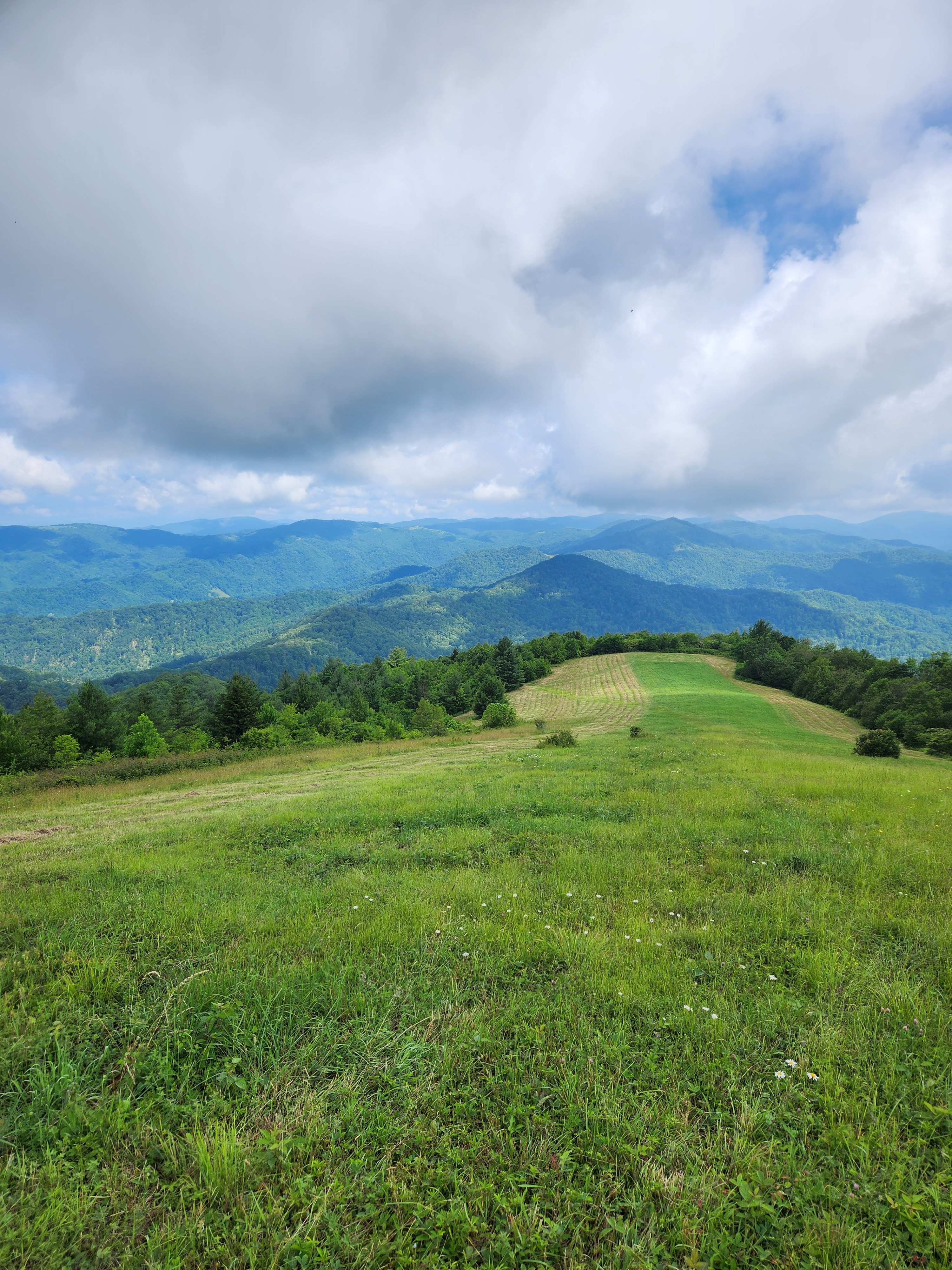 Mountain Top Cabins