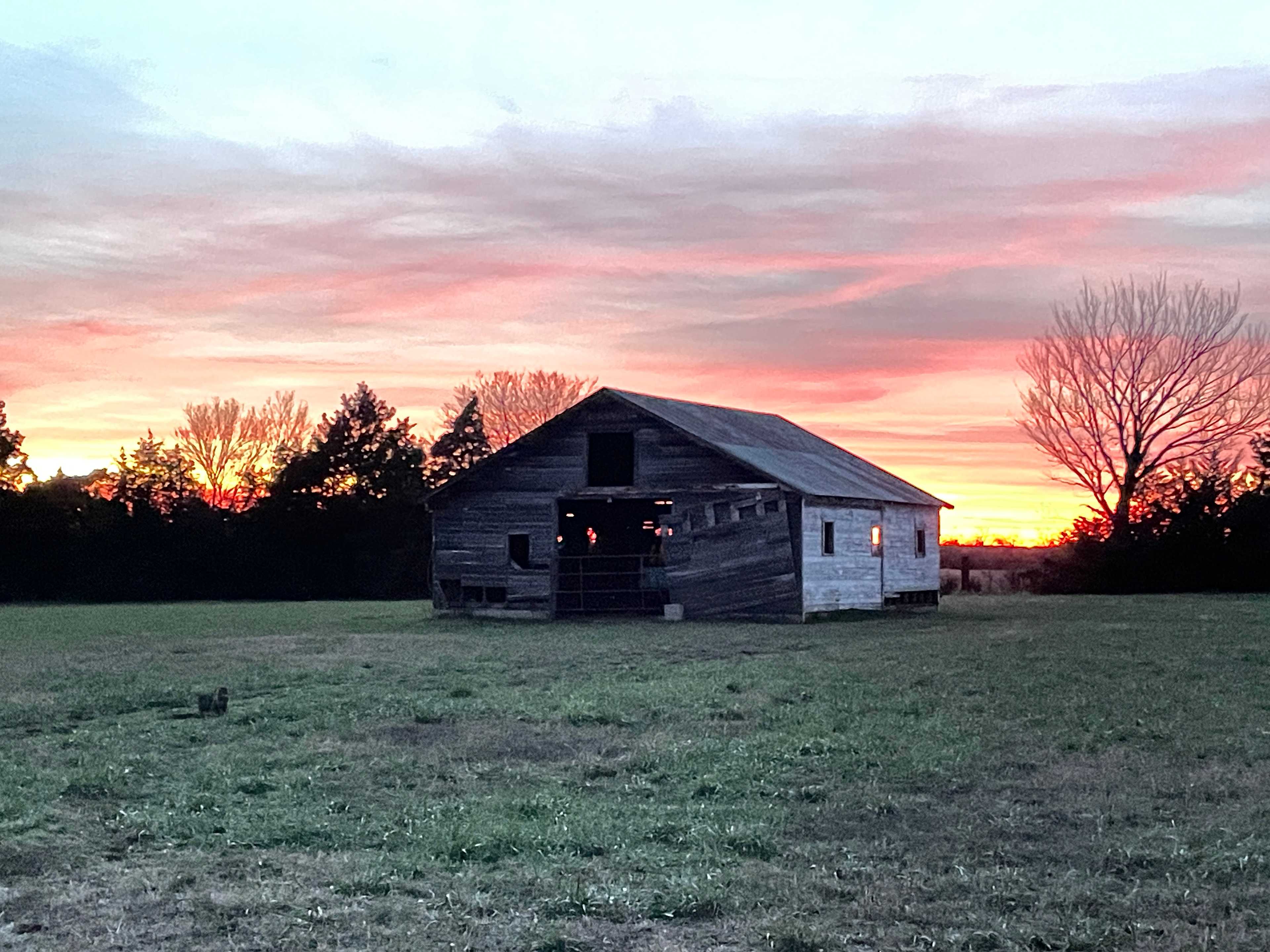 Midwest Mama Farms