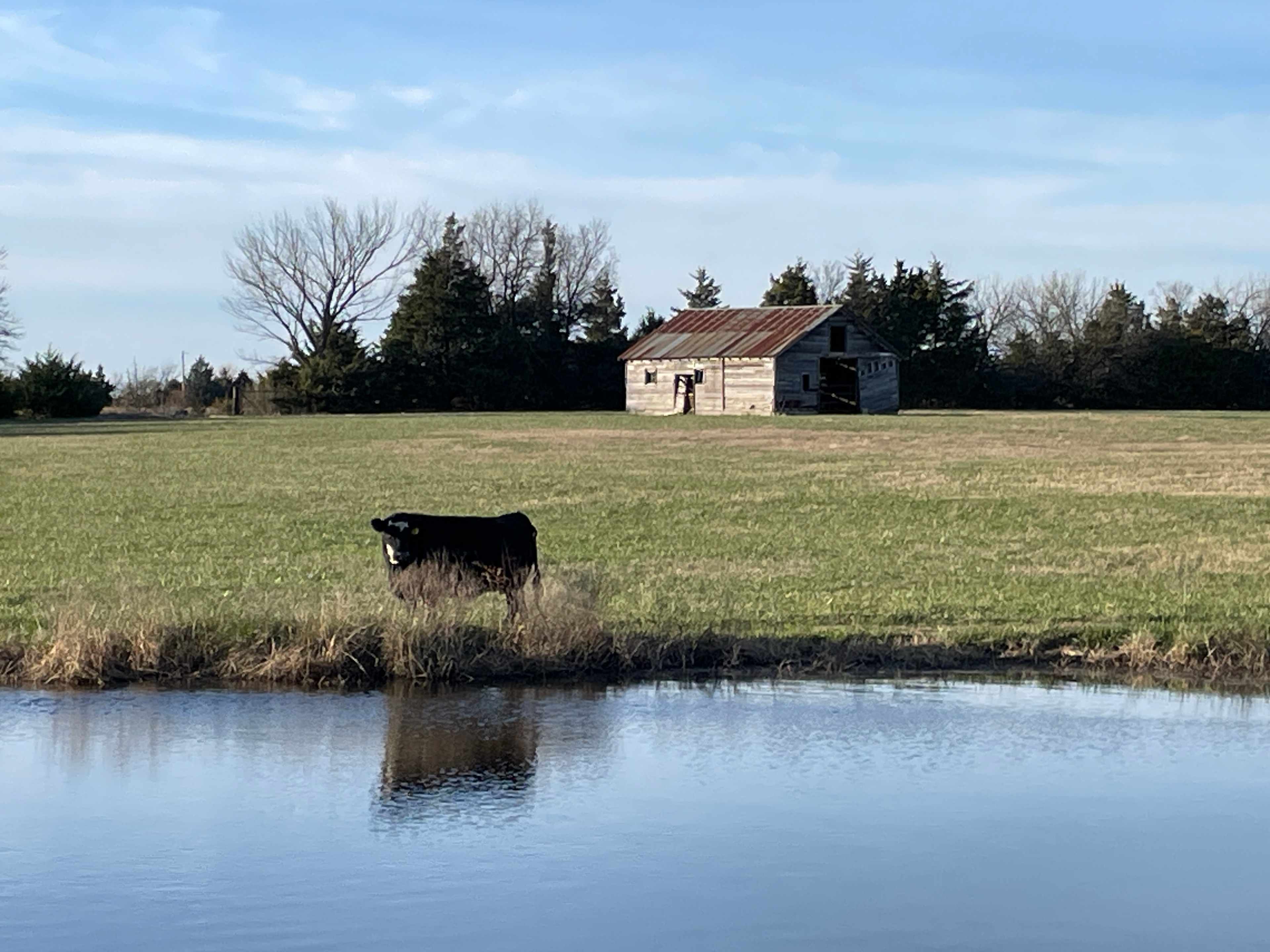 Midwest Mama Farms