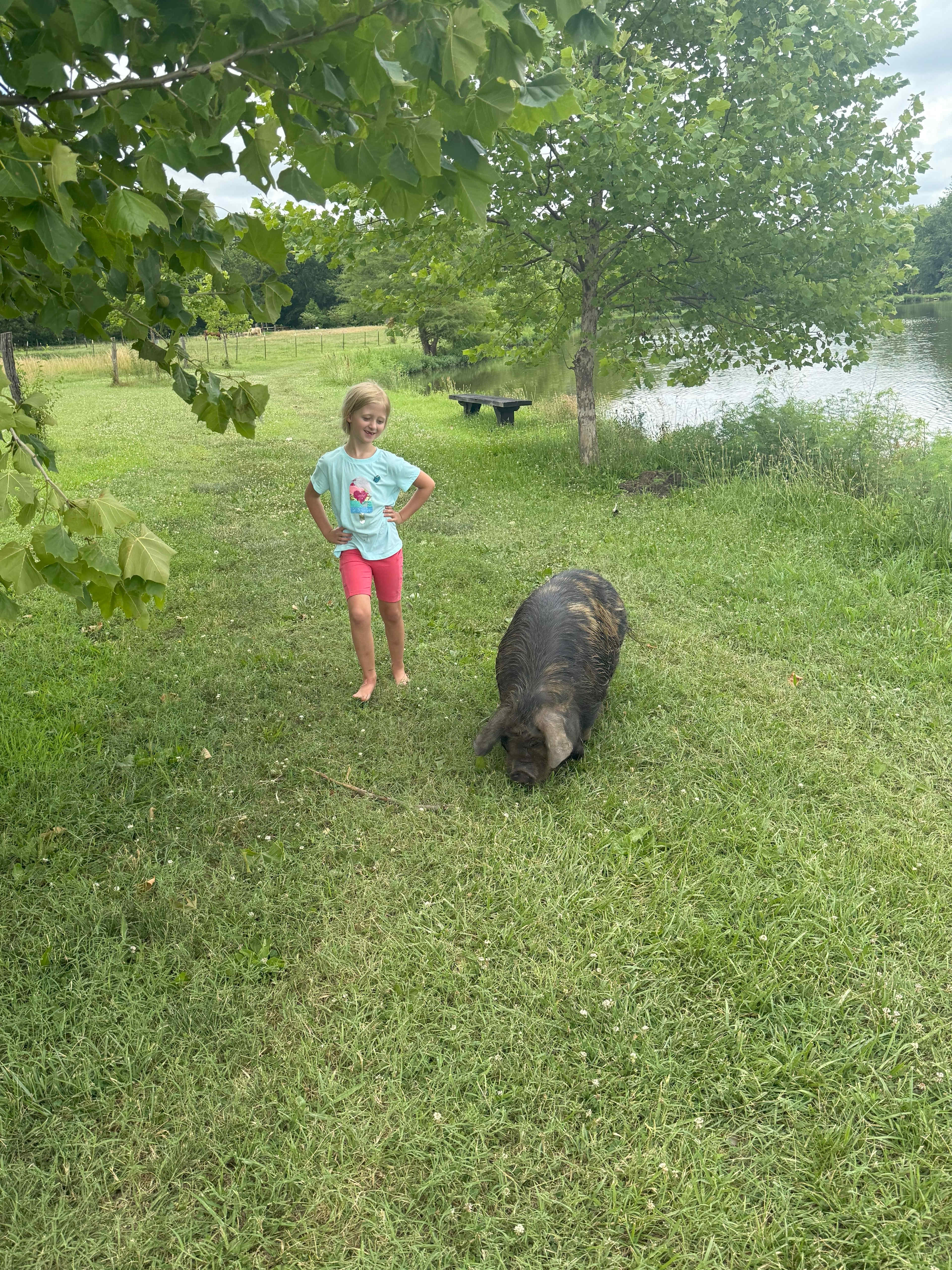 Lake Georgia-Sue