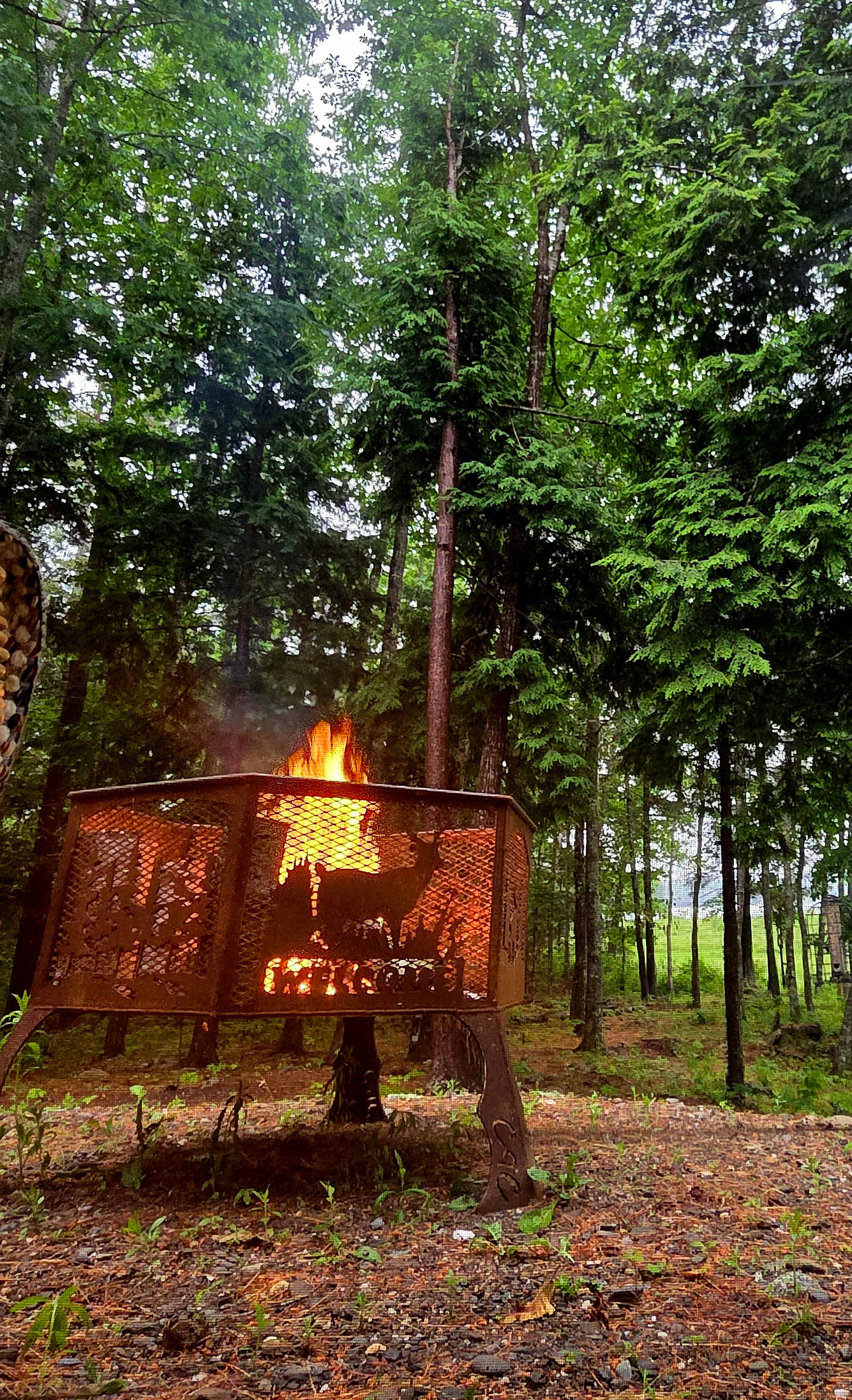 County Living