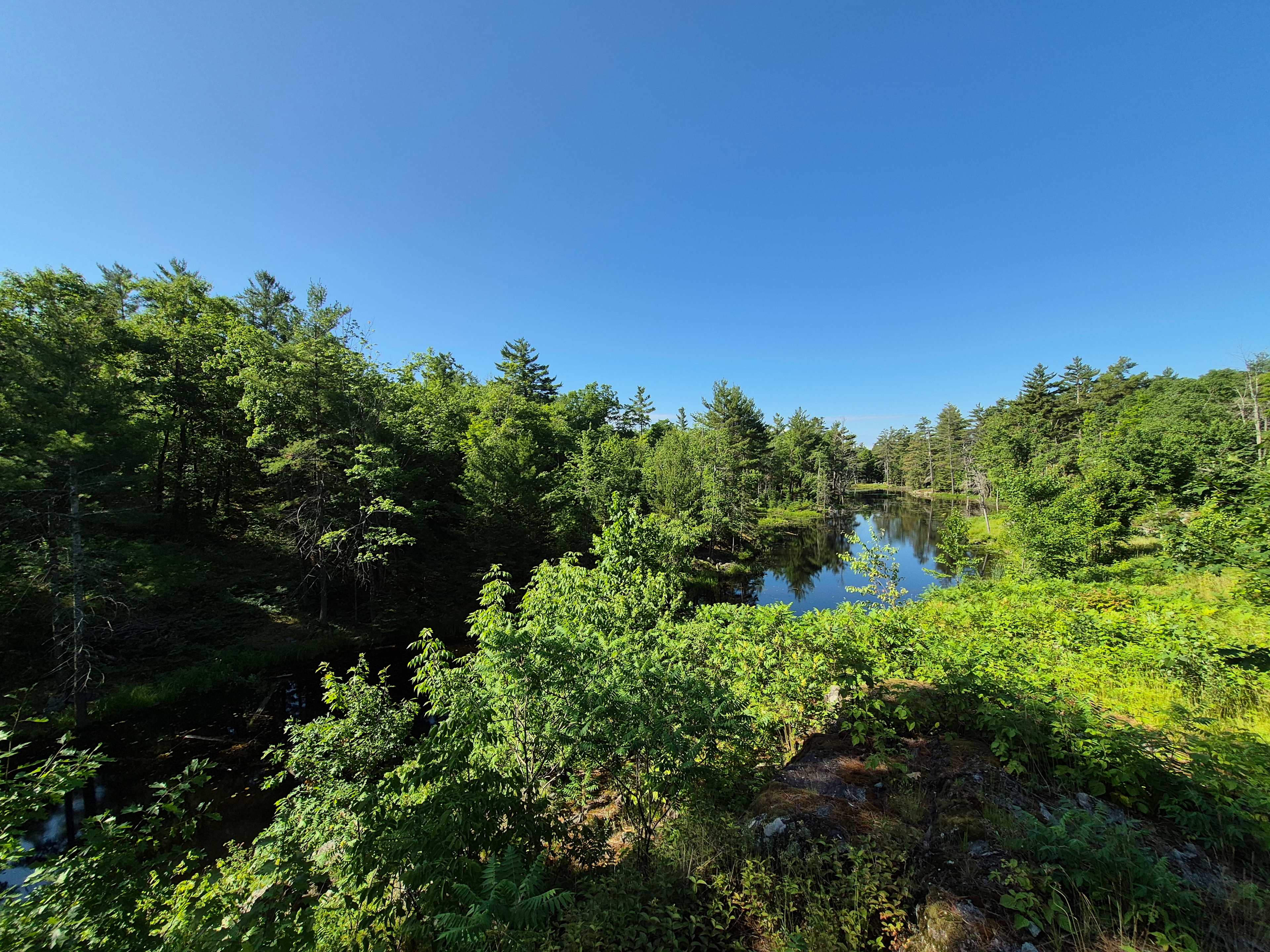 Hemlock Point Campground