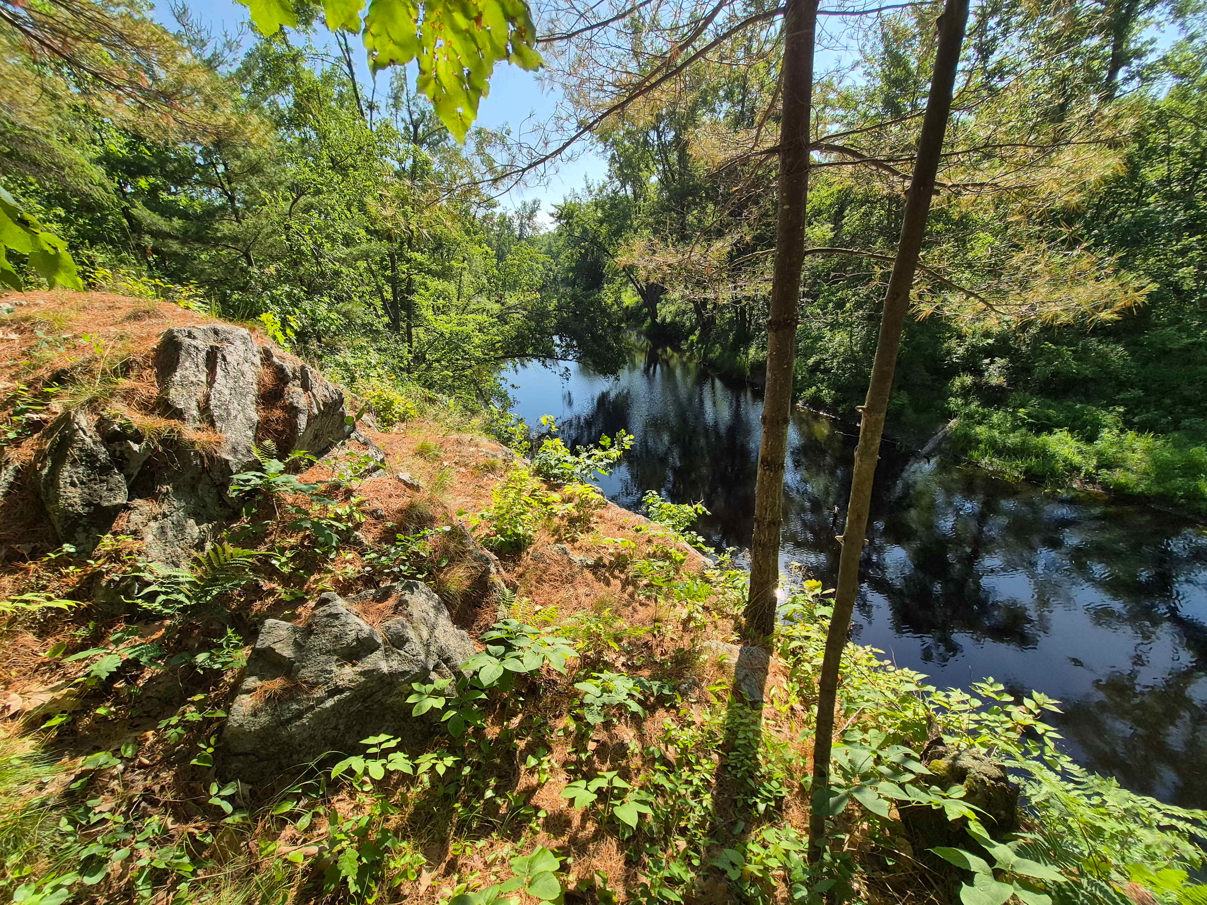 Hemlock Point Campground