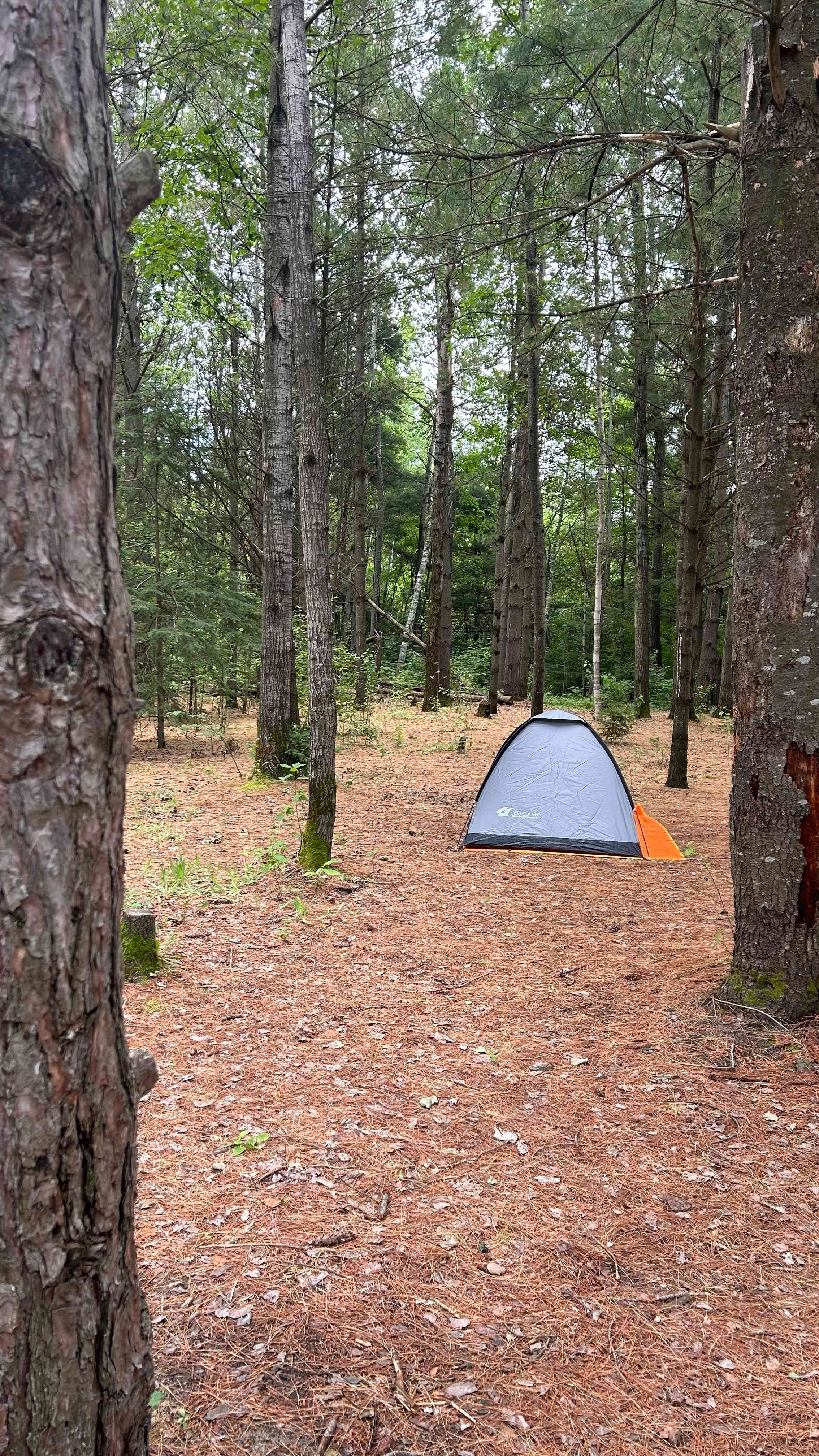 Whispering Pines - Curran, Ontario