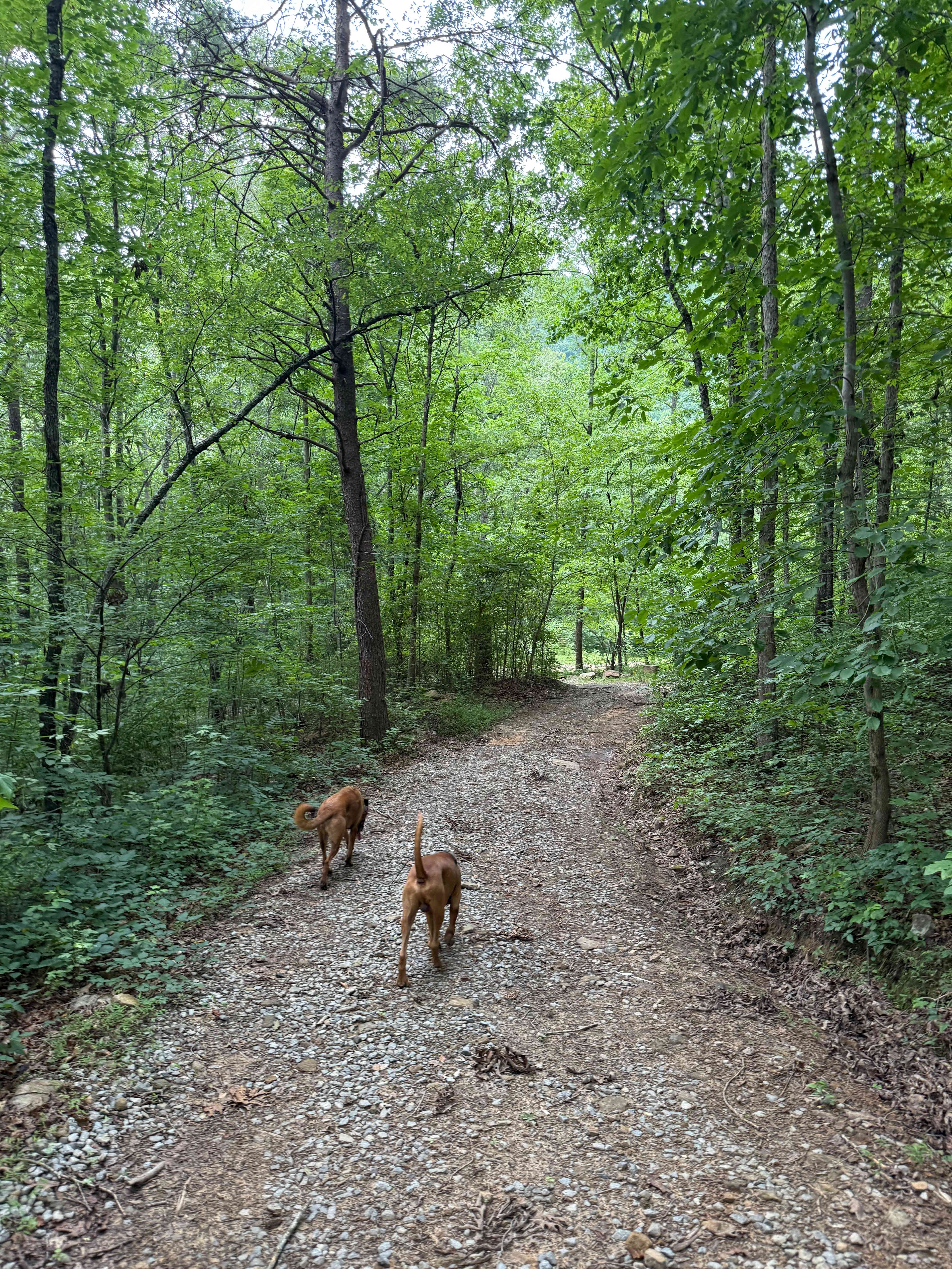 Bandit and Cletus 