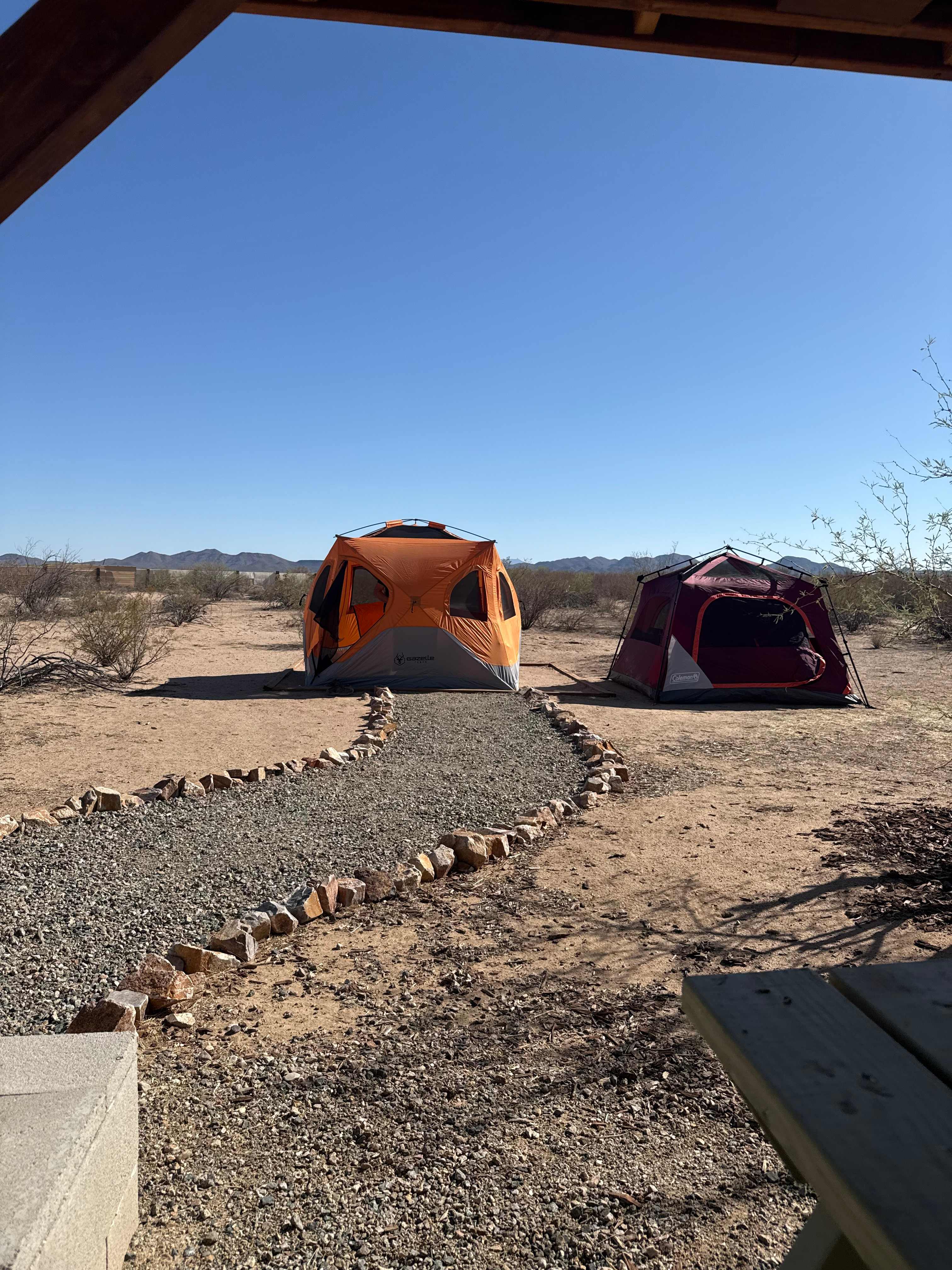 Plenty of room for two tents!