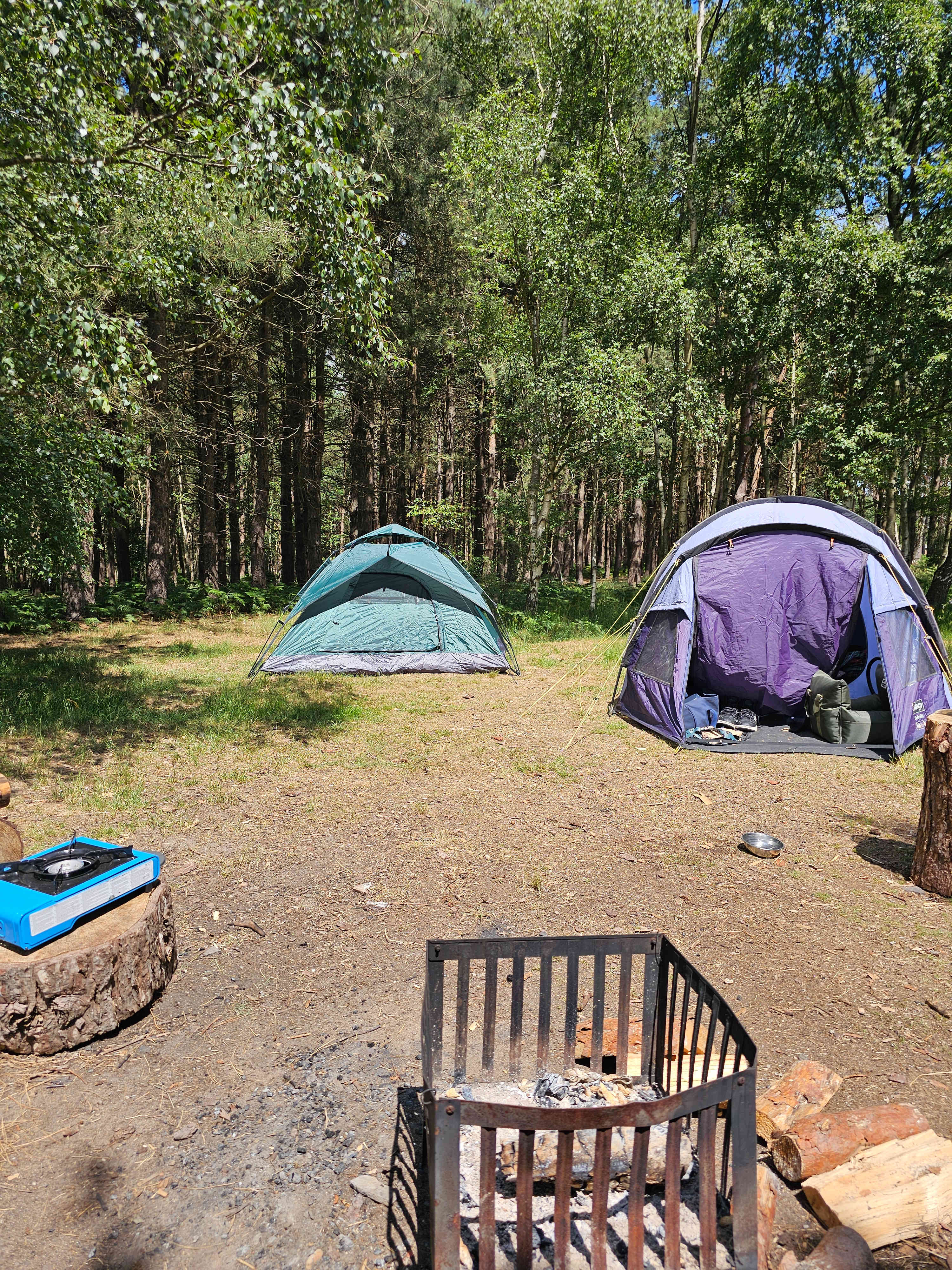 Holistic Woods Wild Campsite