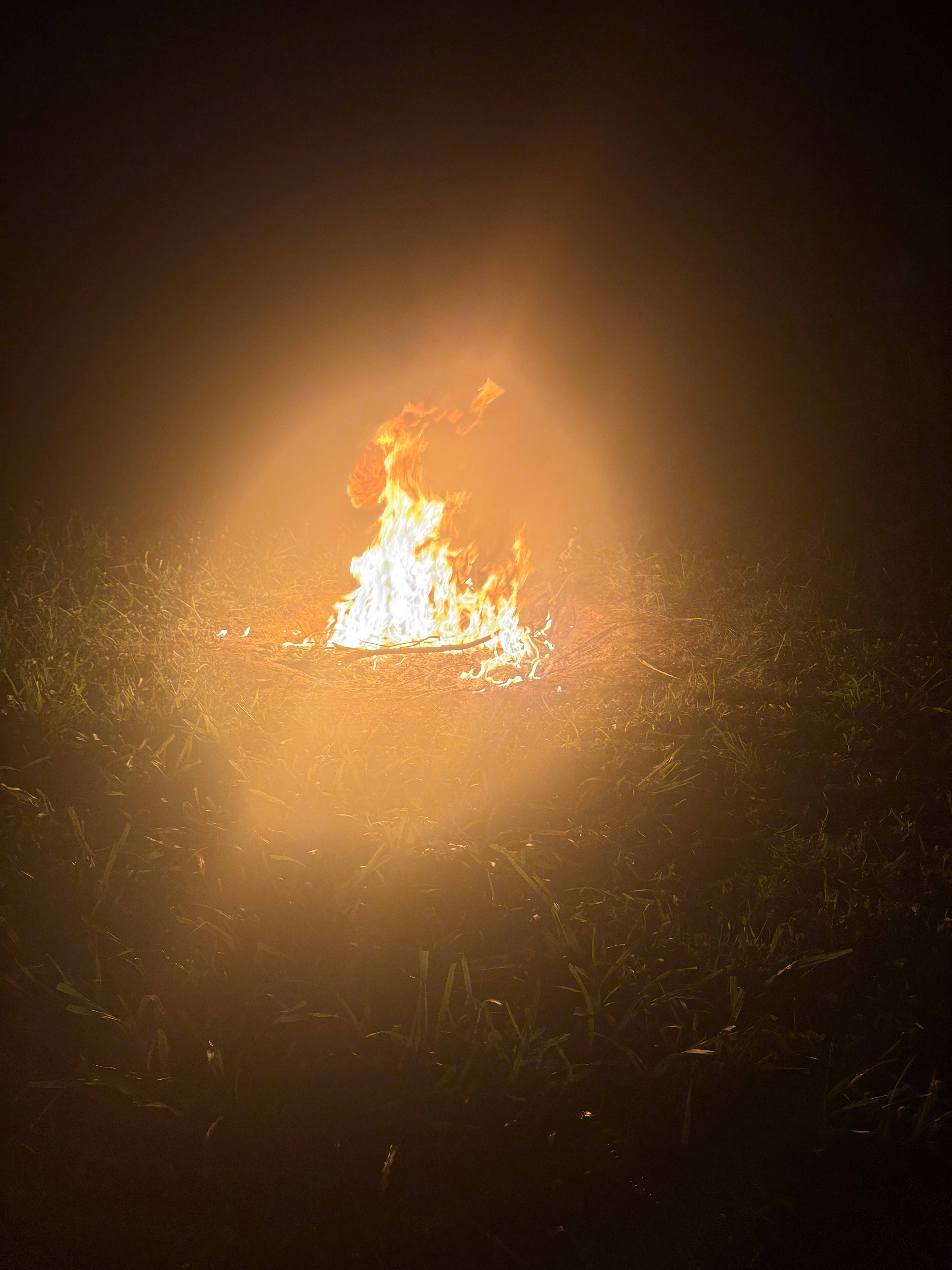 Camp Escape