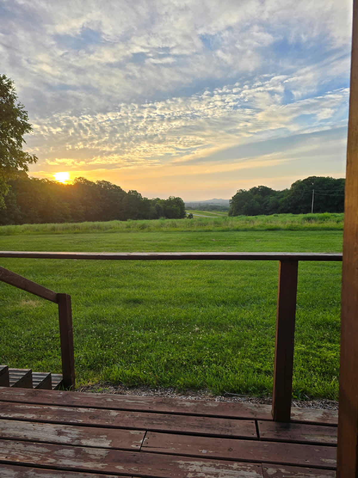 PeaceTree Farms
