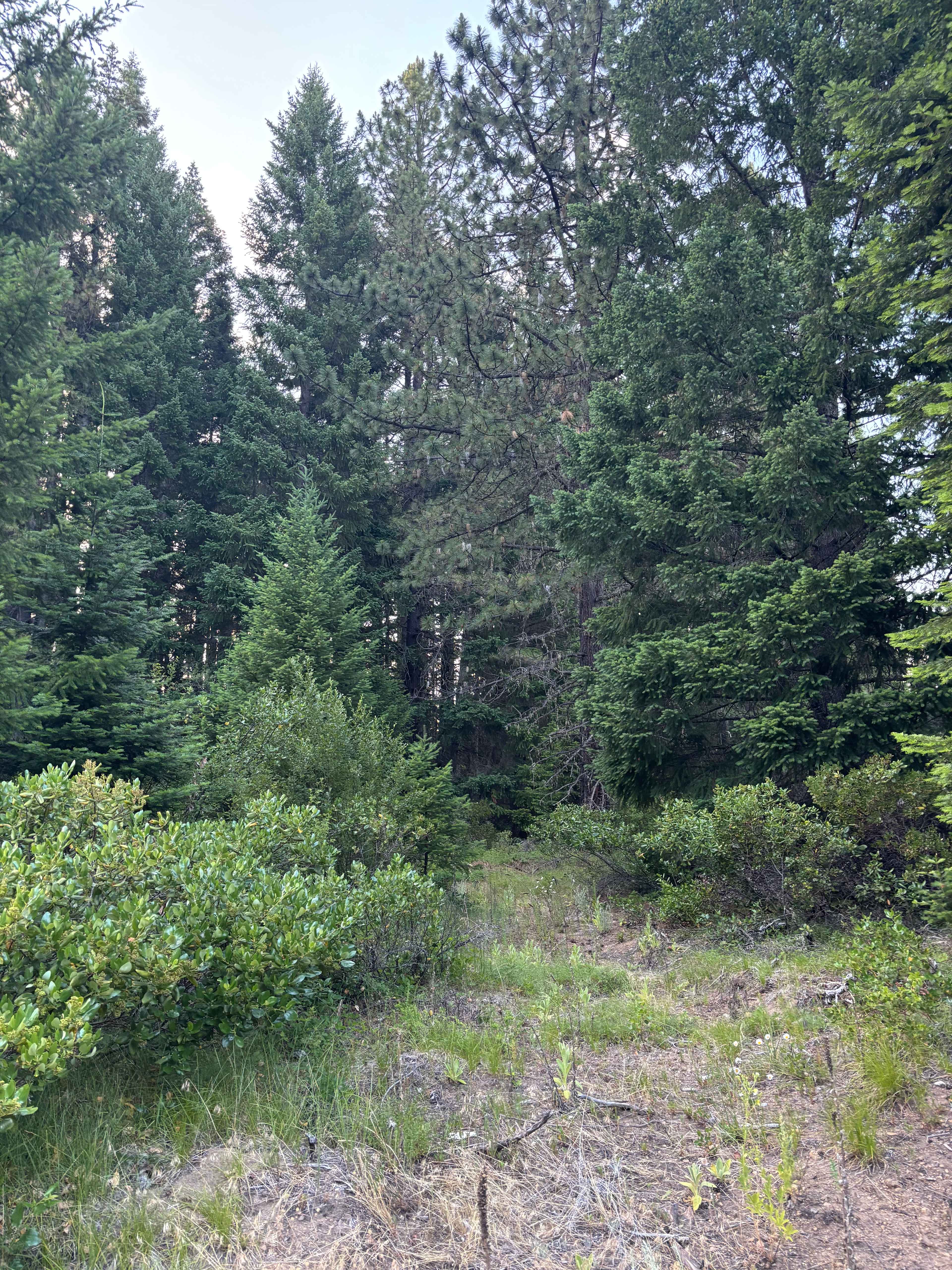 Walk at our site