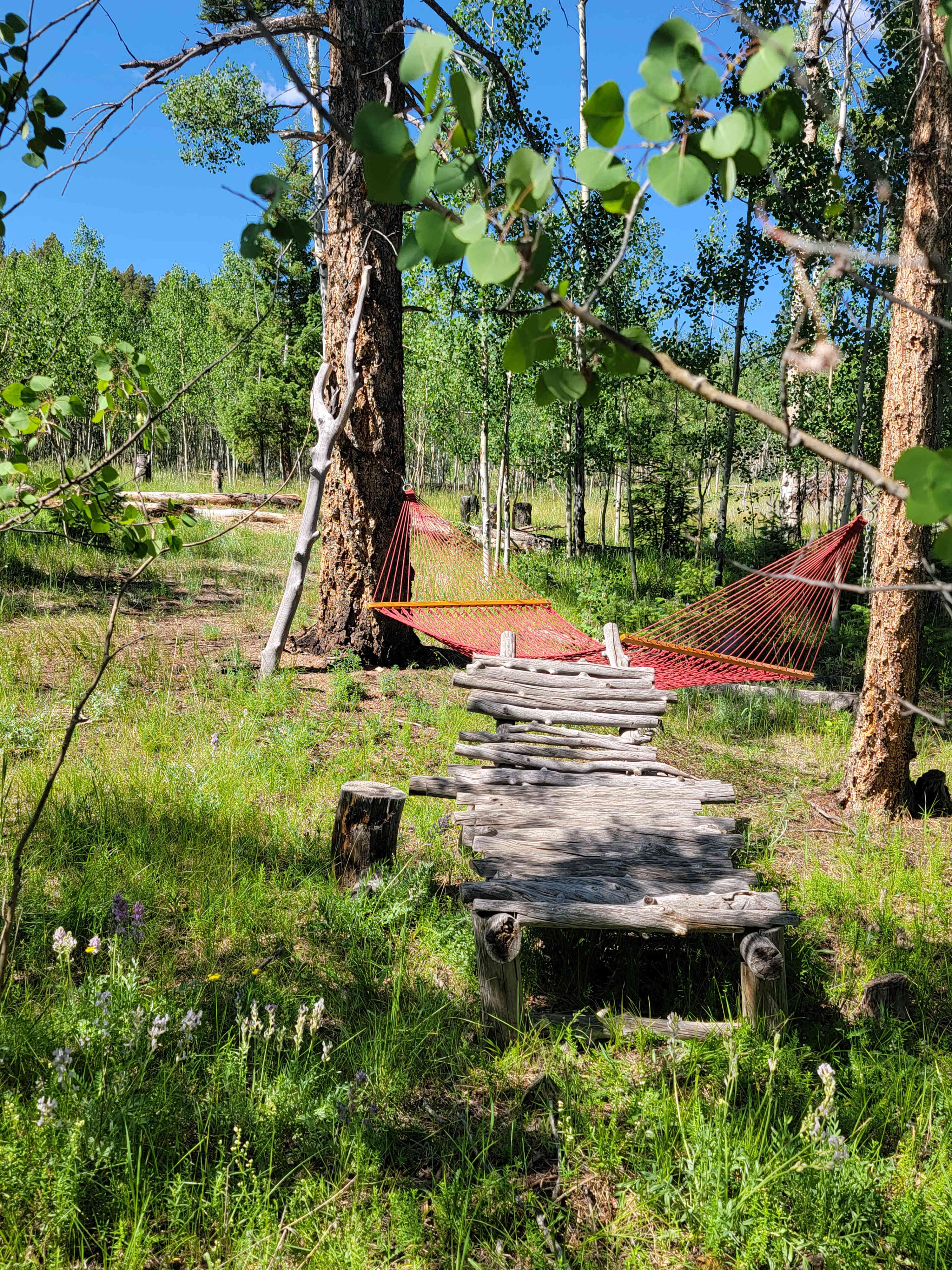 Aspen Campsite
