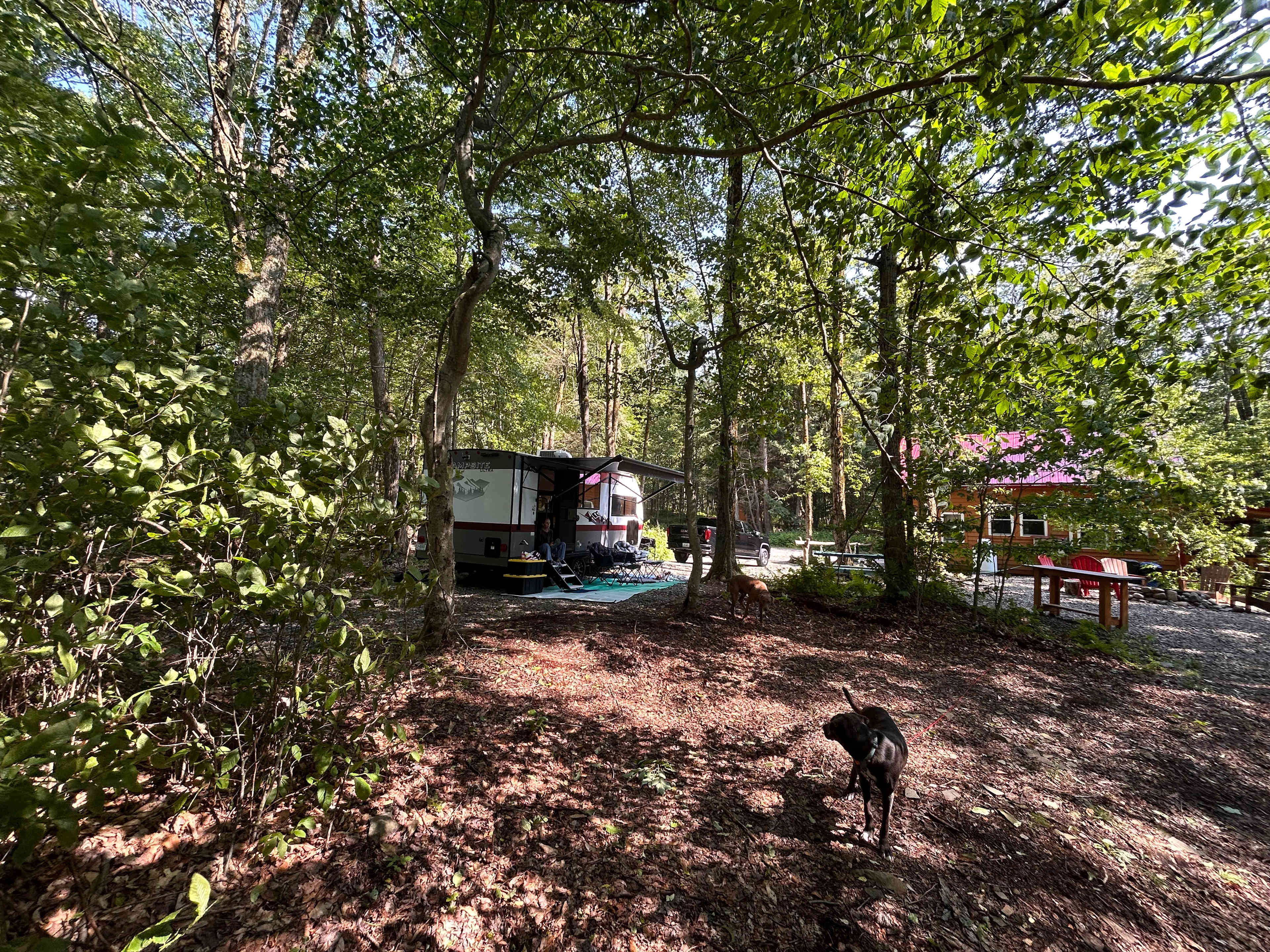 Smyrna Lake Campsite