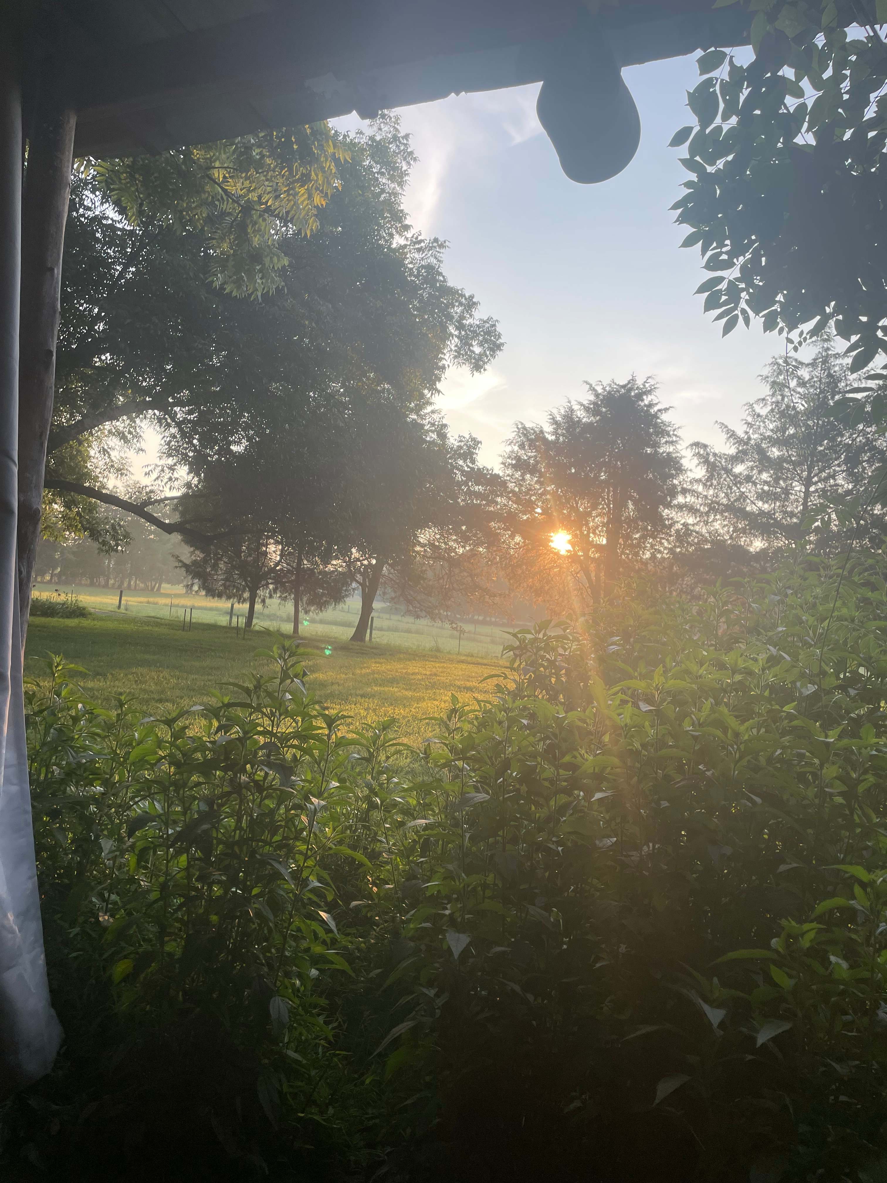 Sunrise