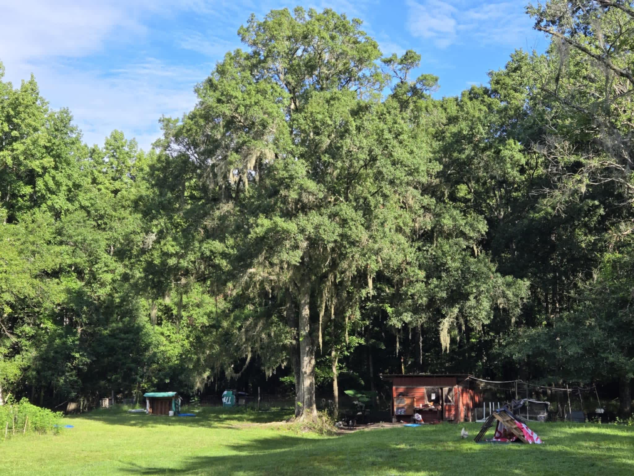 Sheehan Homestead