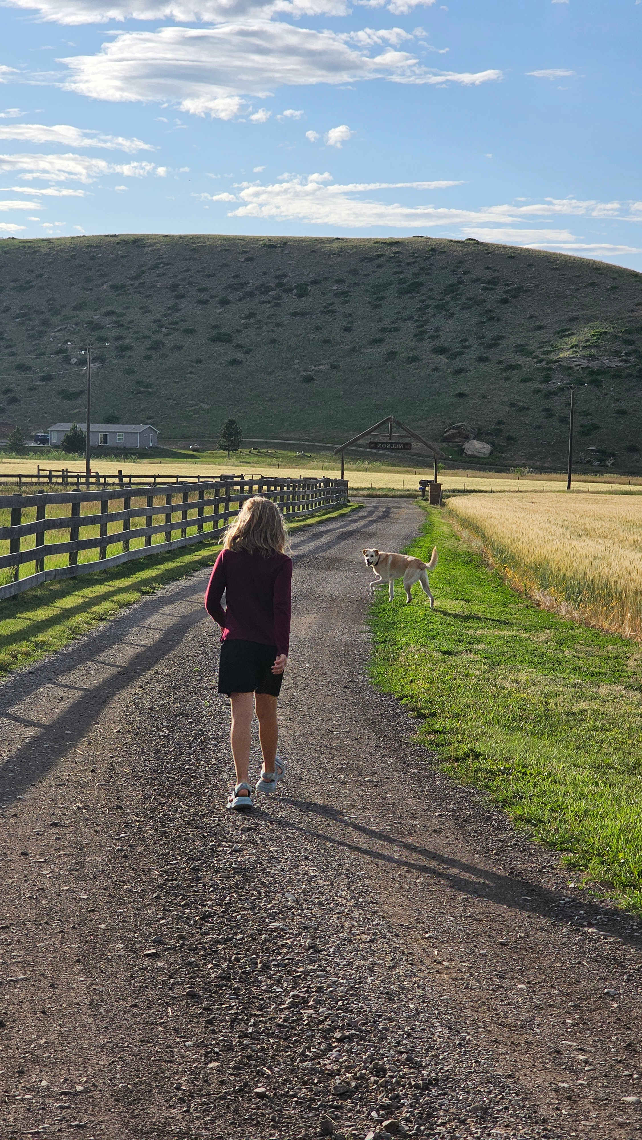 Montana Country & Stone Barns