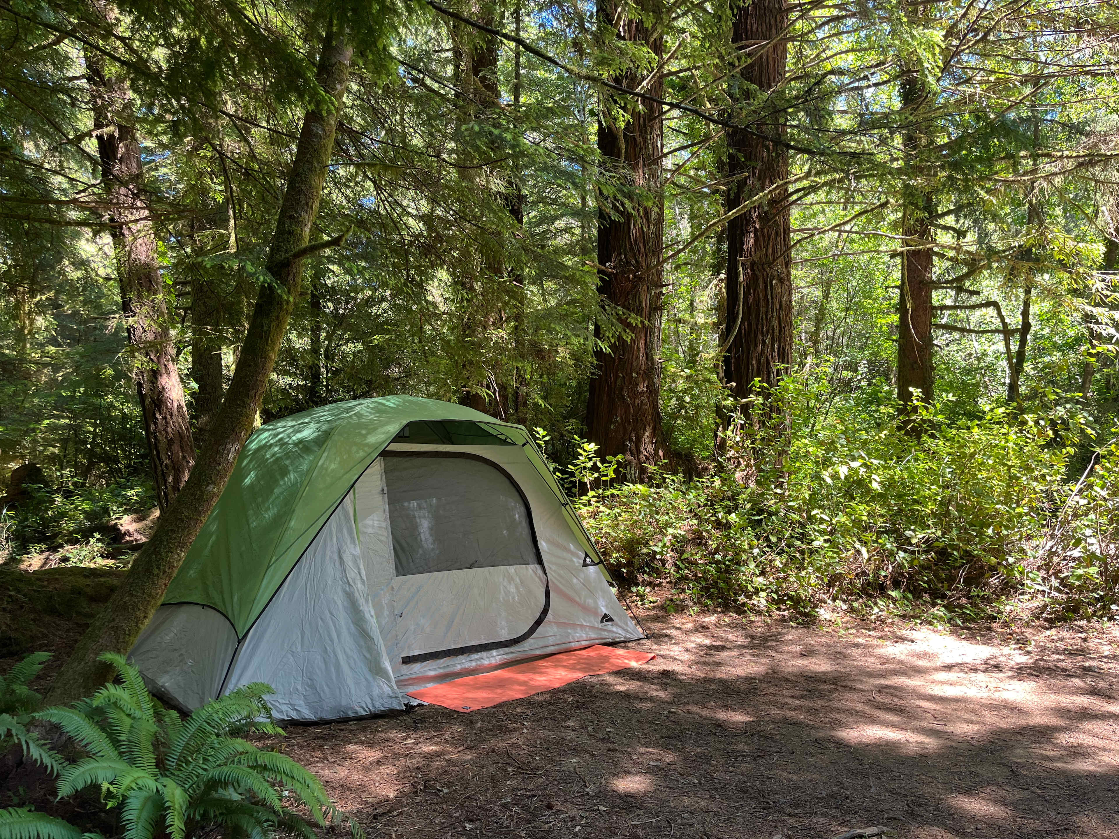 Mystic Forest Campground
