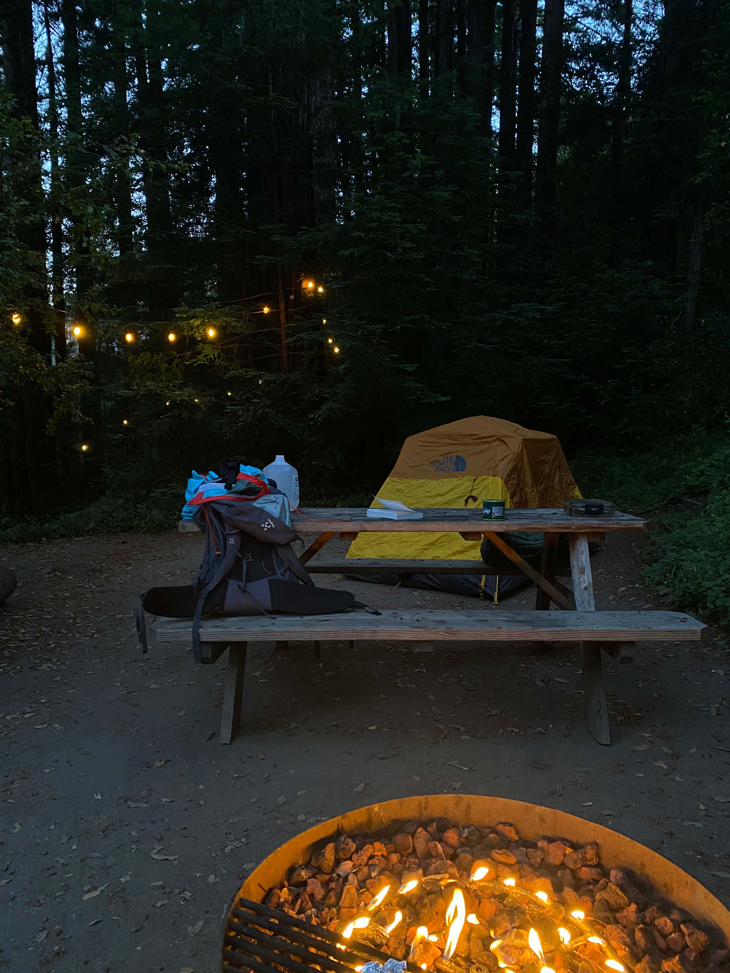 Fern Ridge Flats - Private Camping