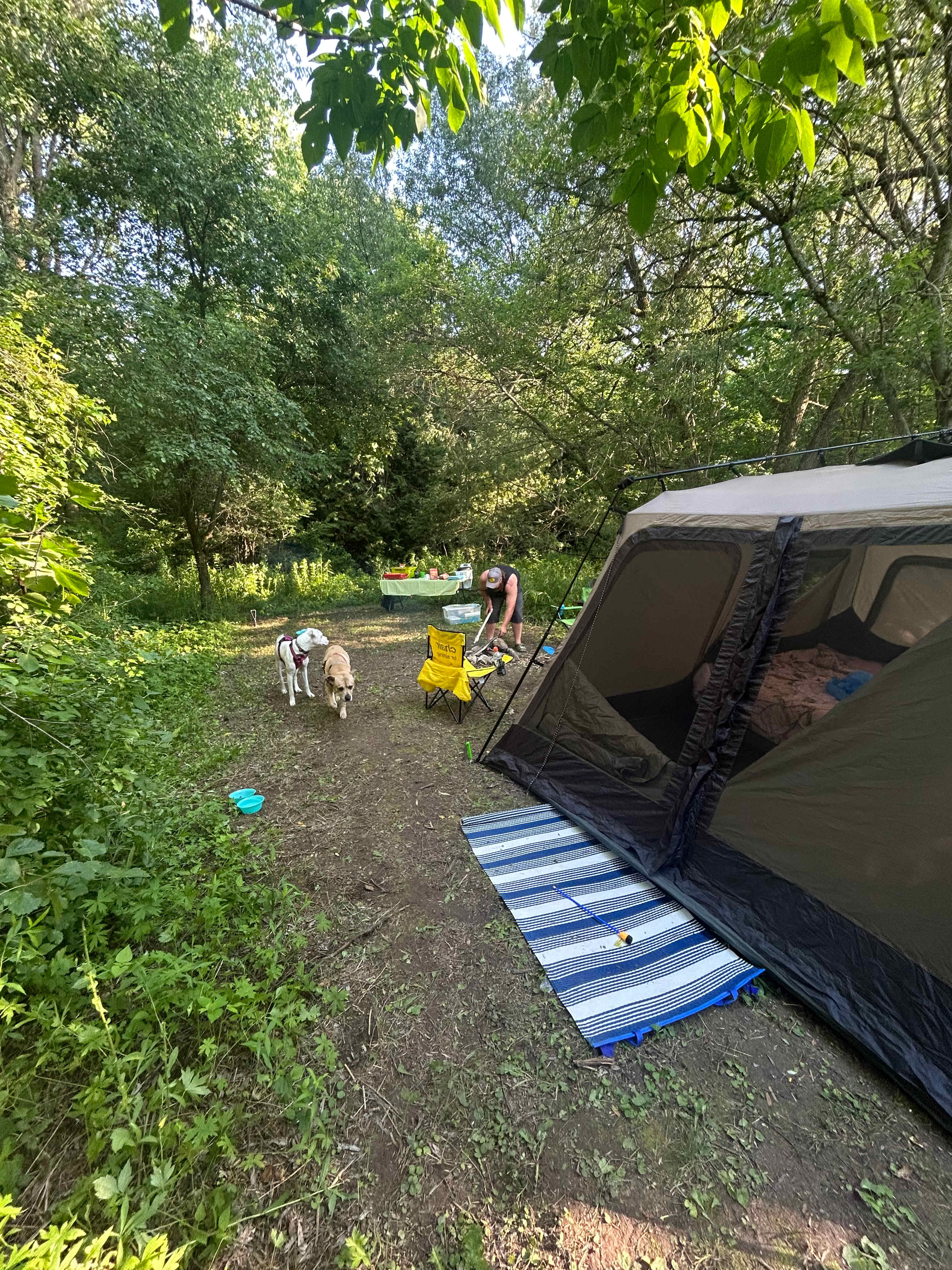 Rowley's Saugeen River Adv. Acres