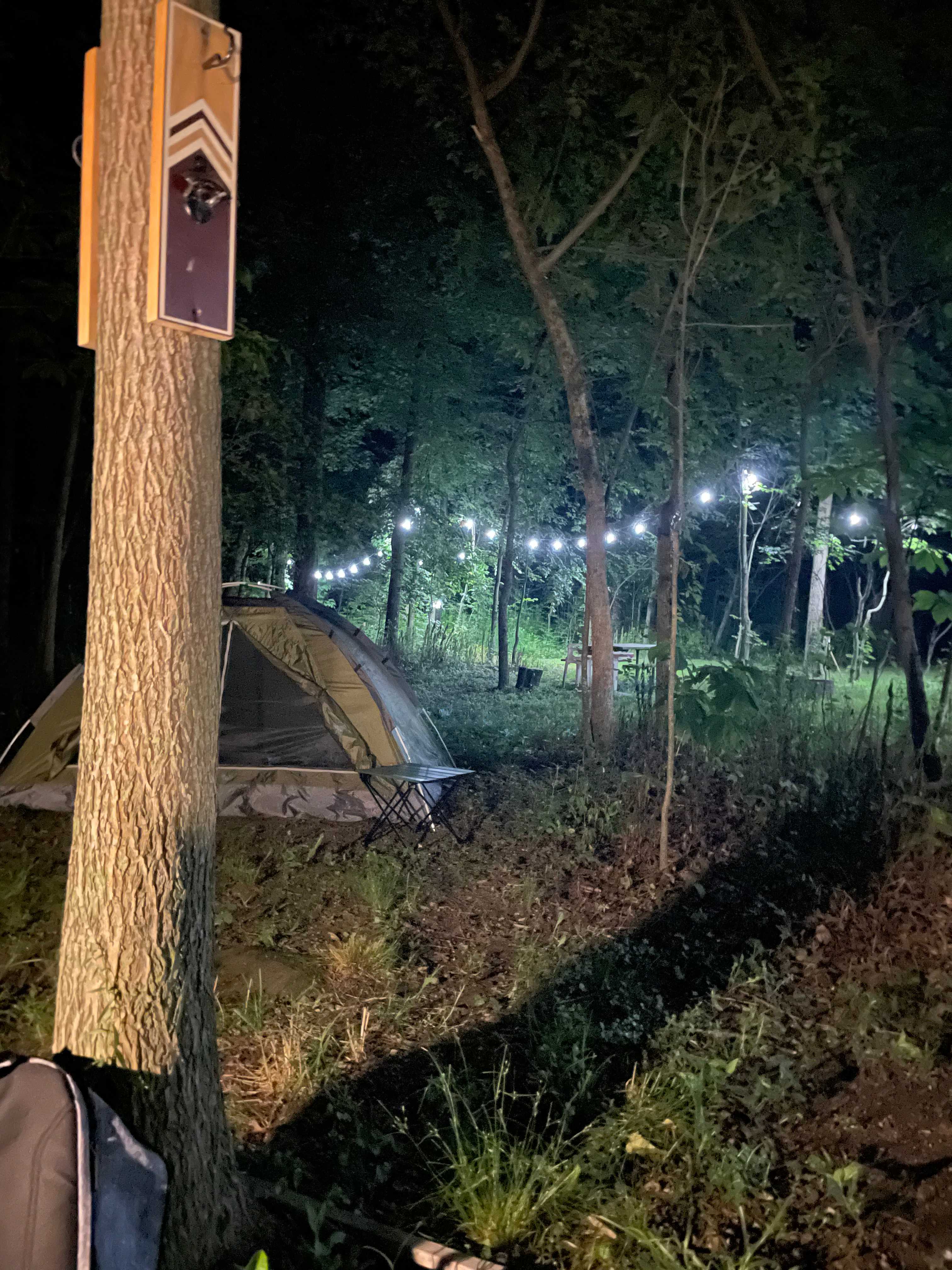 Solo camping under the lights!