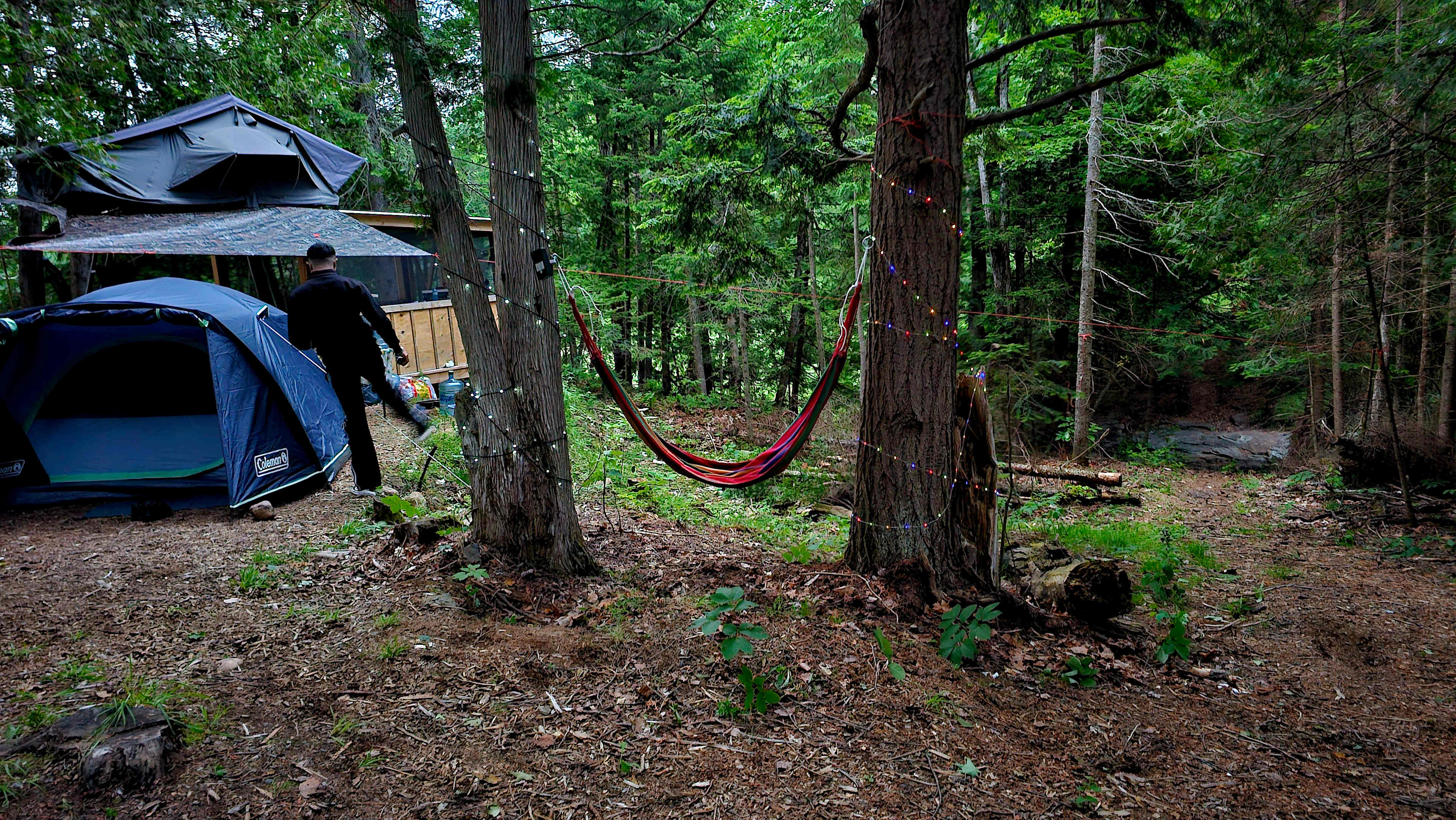 Camp Rose Island