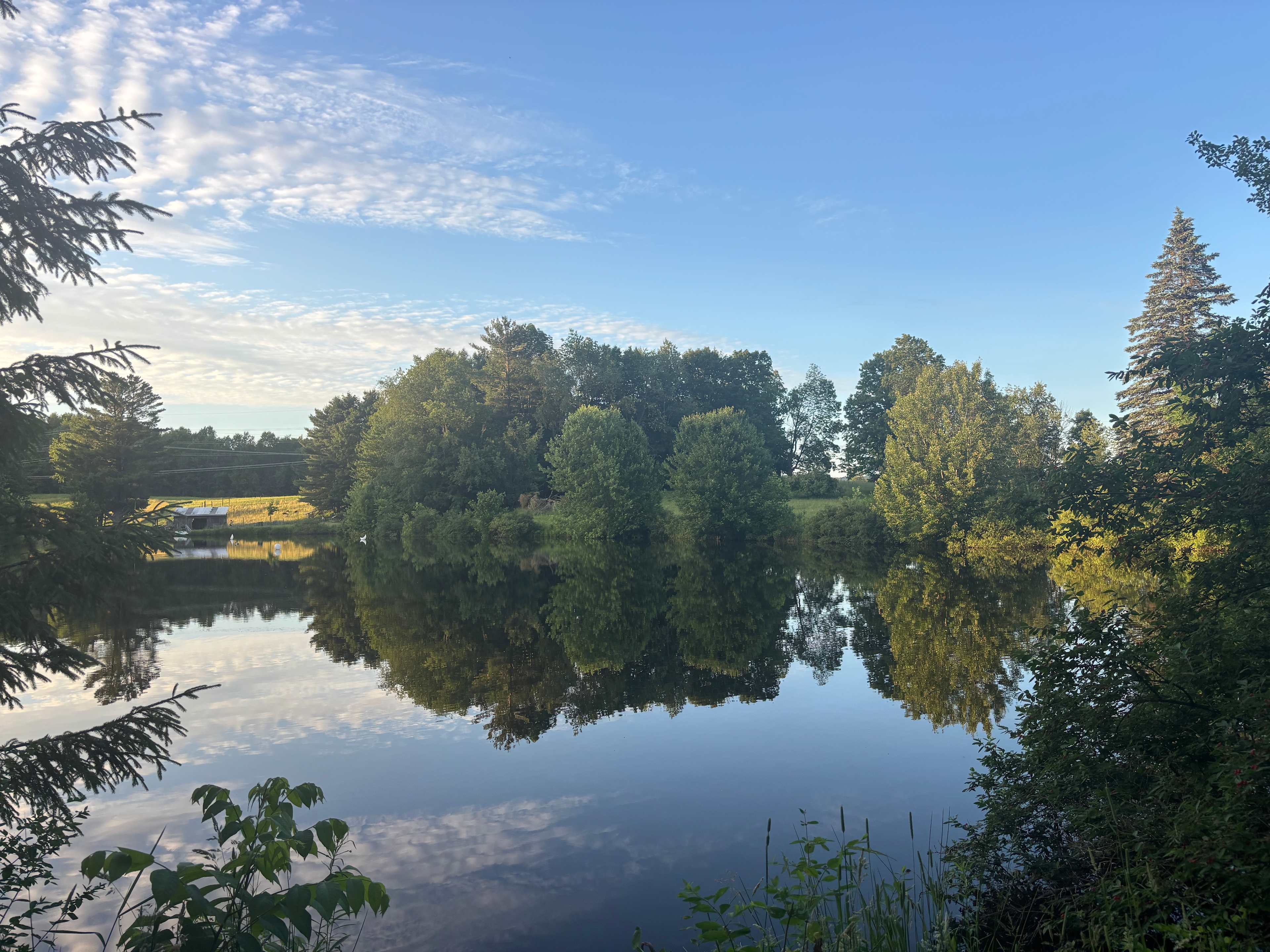 Underhill Forest and Farm