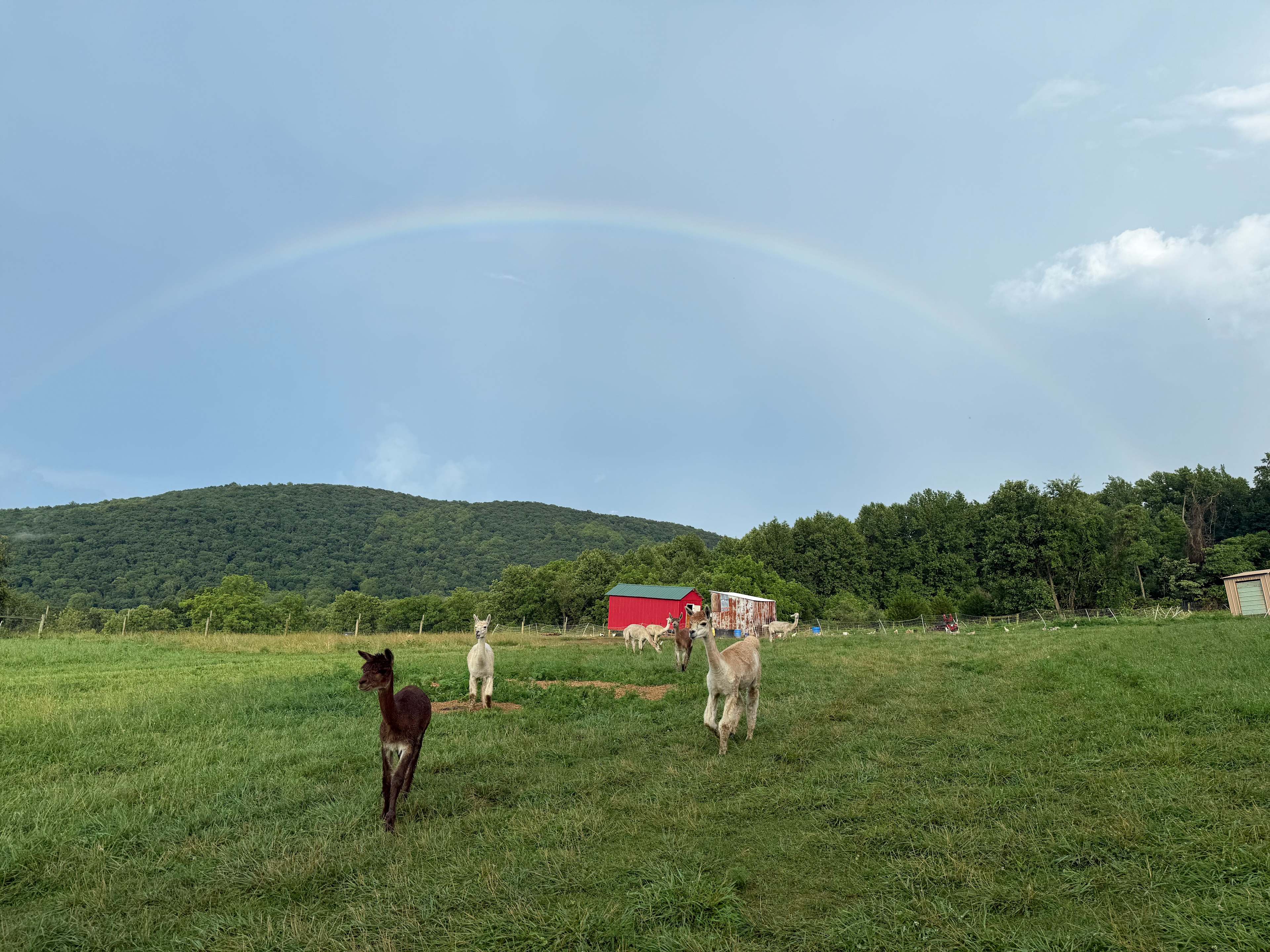 Multiple Rainbows throughout the day!