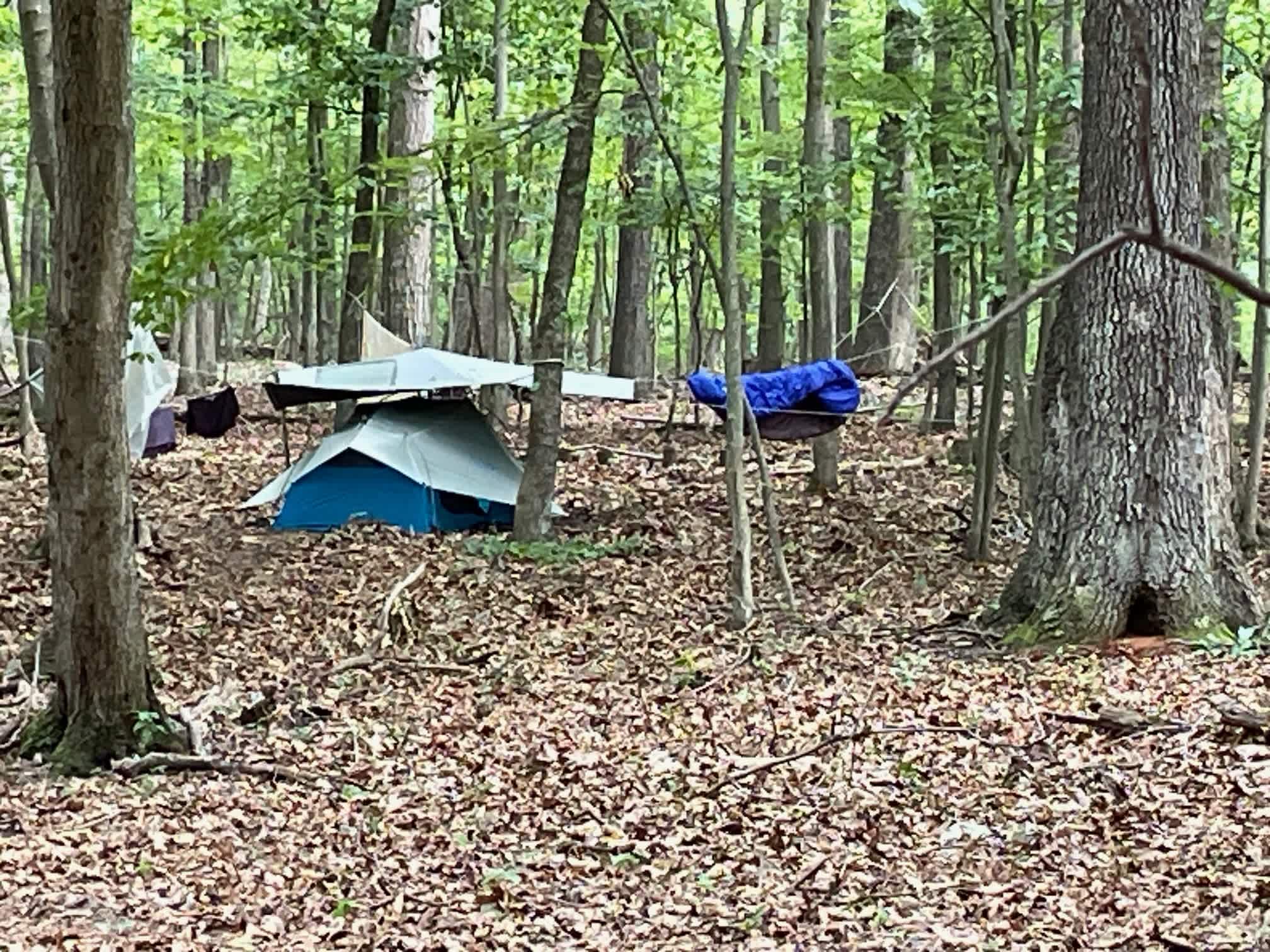 You will enjoy a tent site like this.