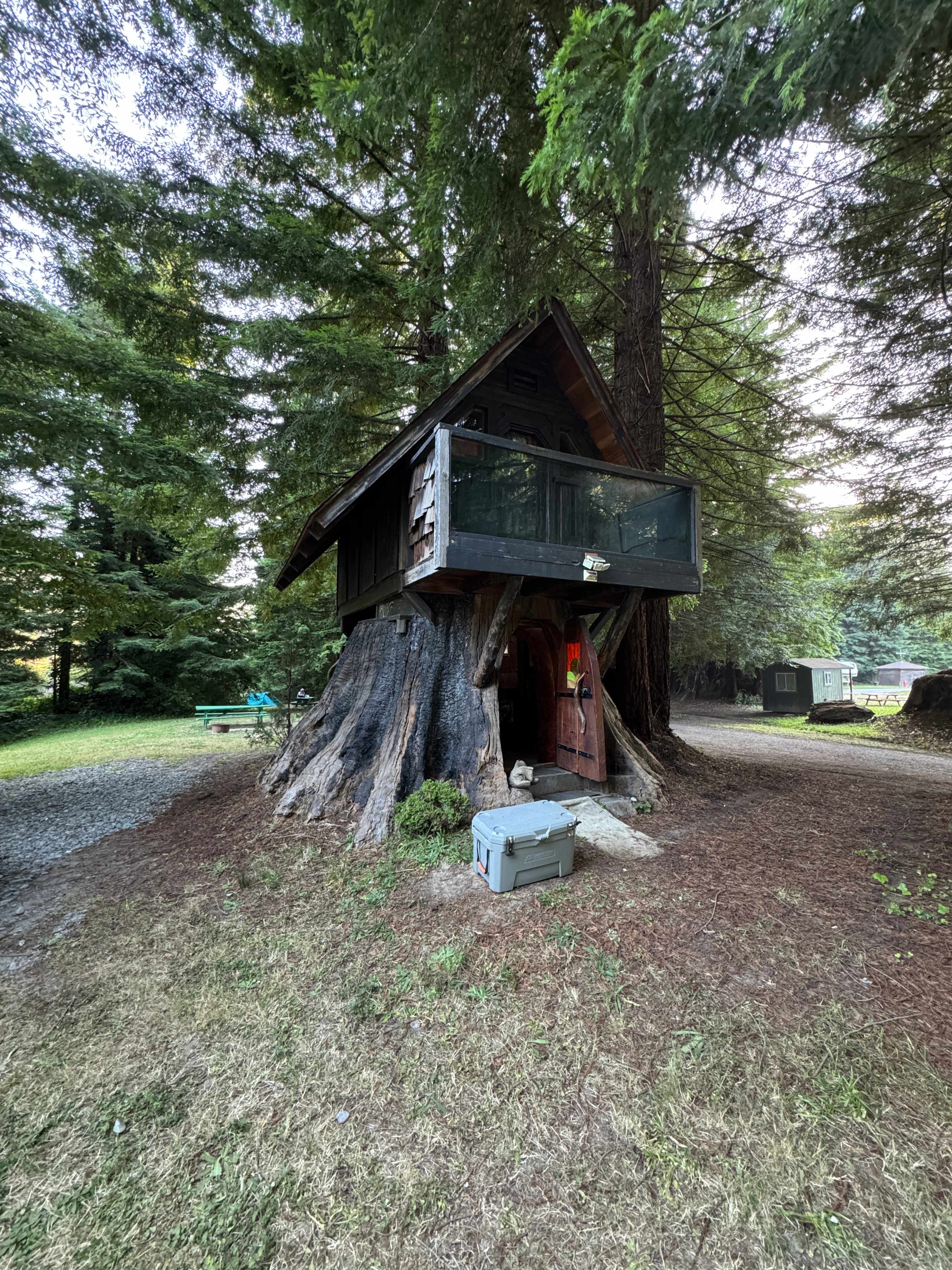 Redwood Family Camp