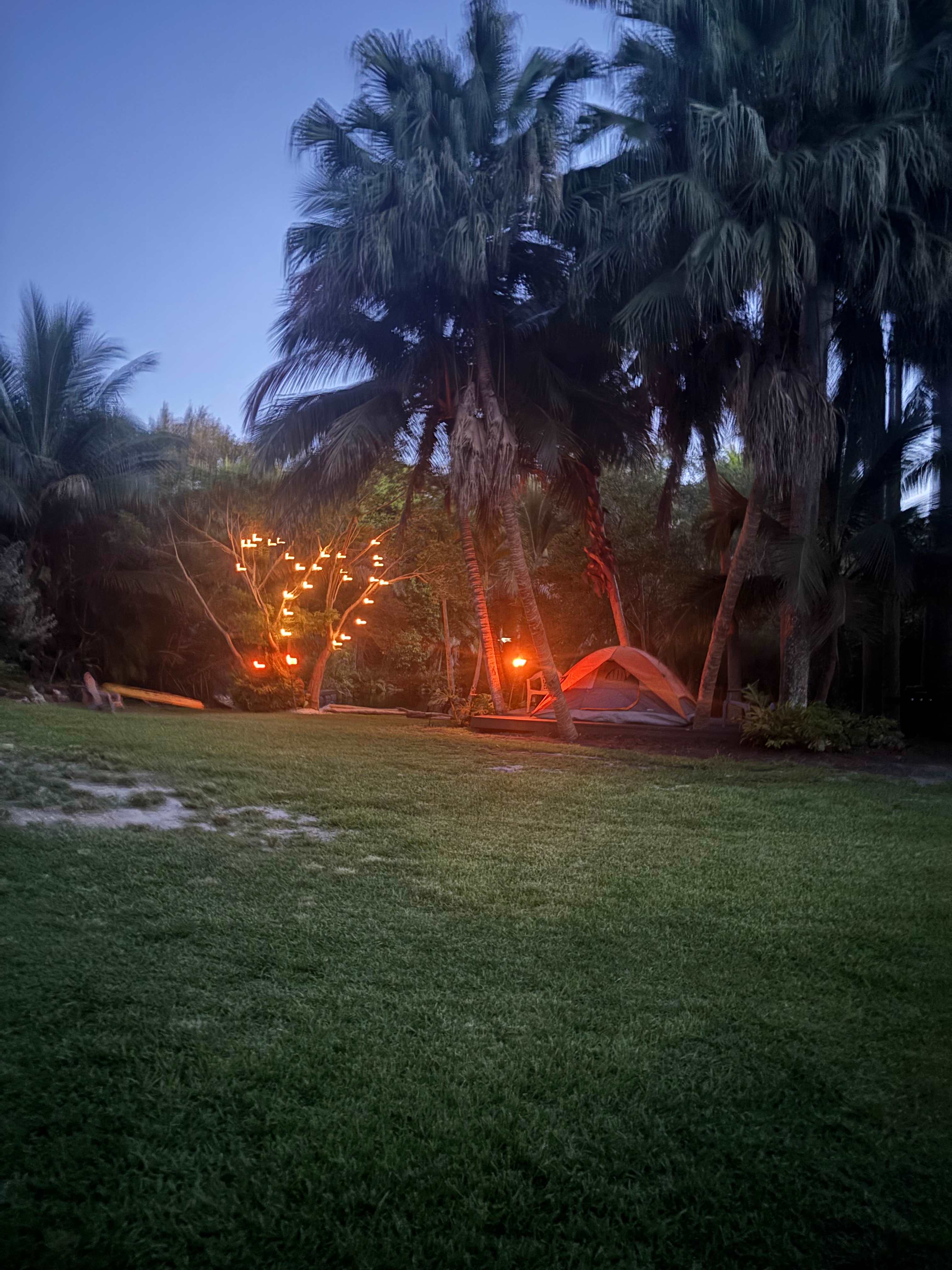 Honeys Place: Urban Camping Oasis