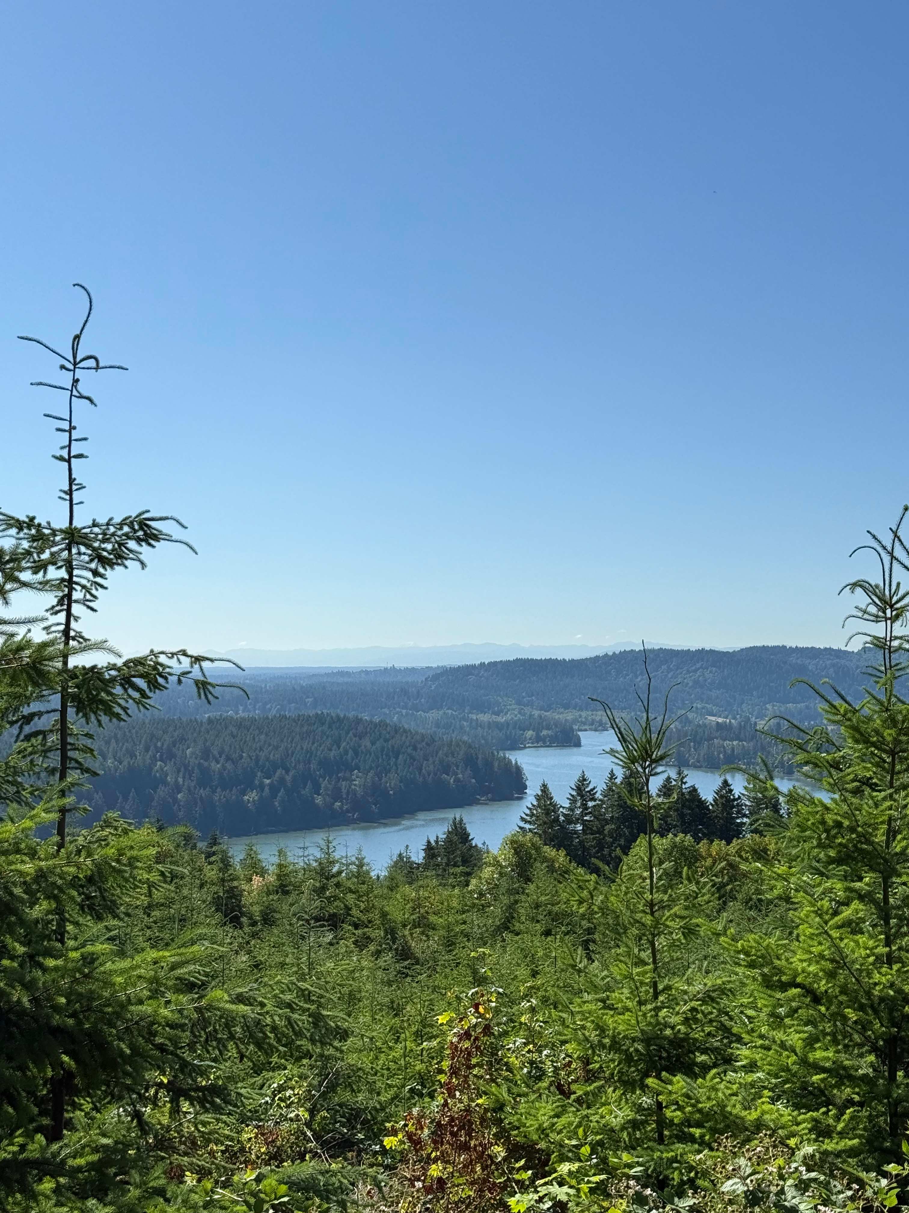 Hairy Eagle Lookout 🦅