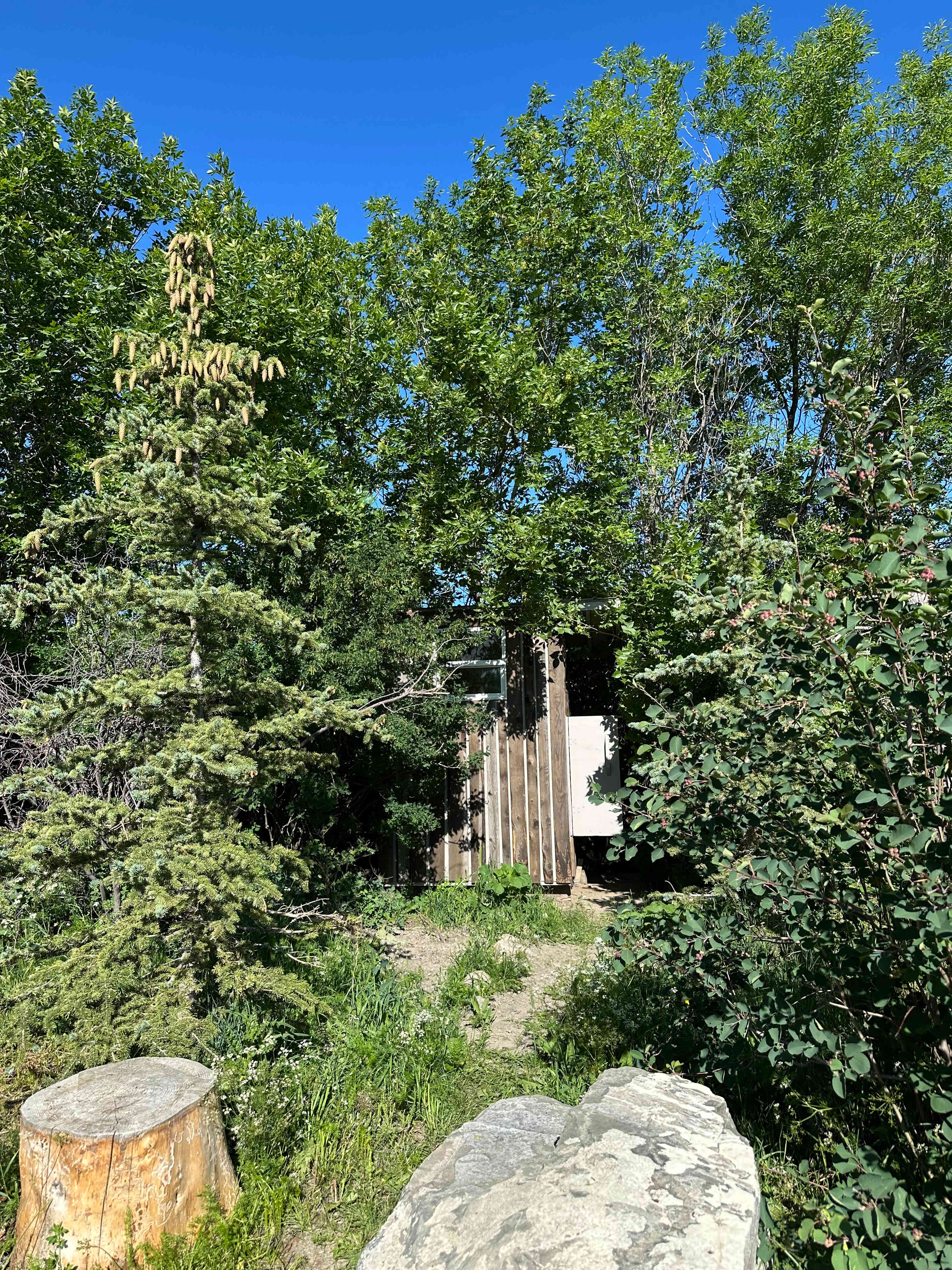 Wildflower Campground