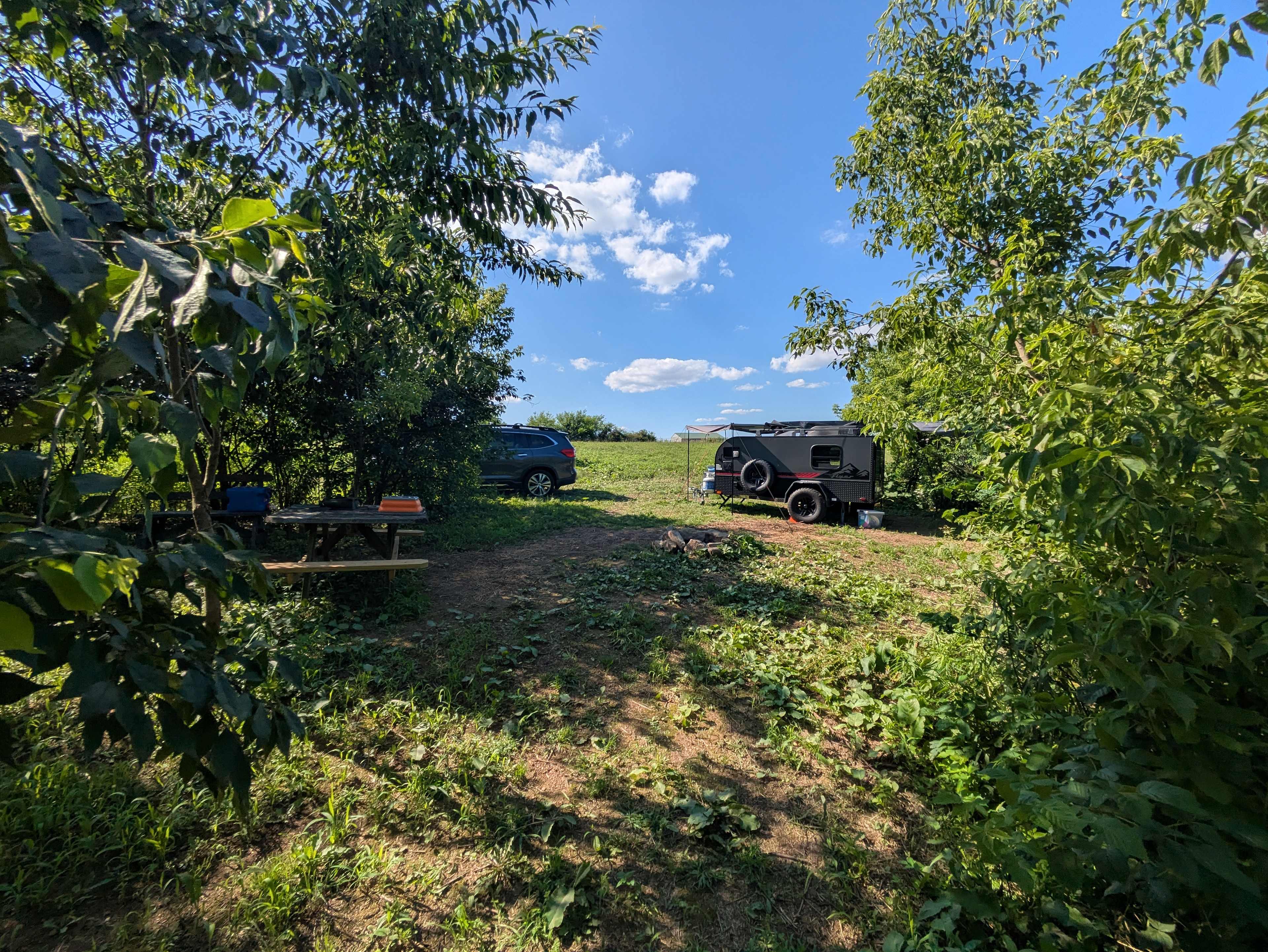 Mulberry Acres
