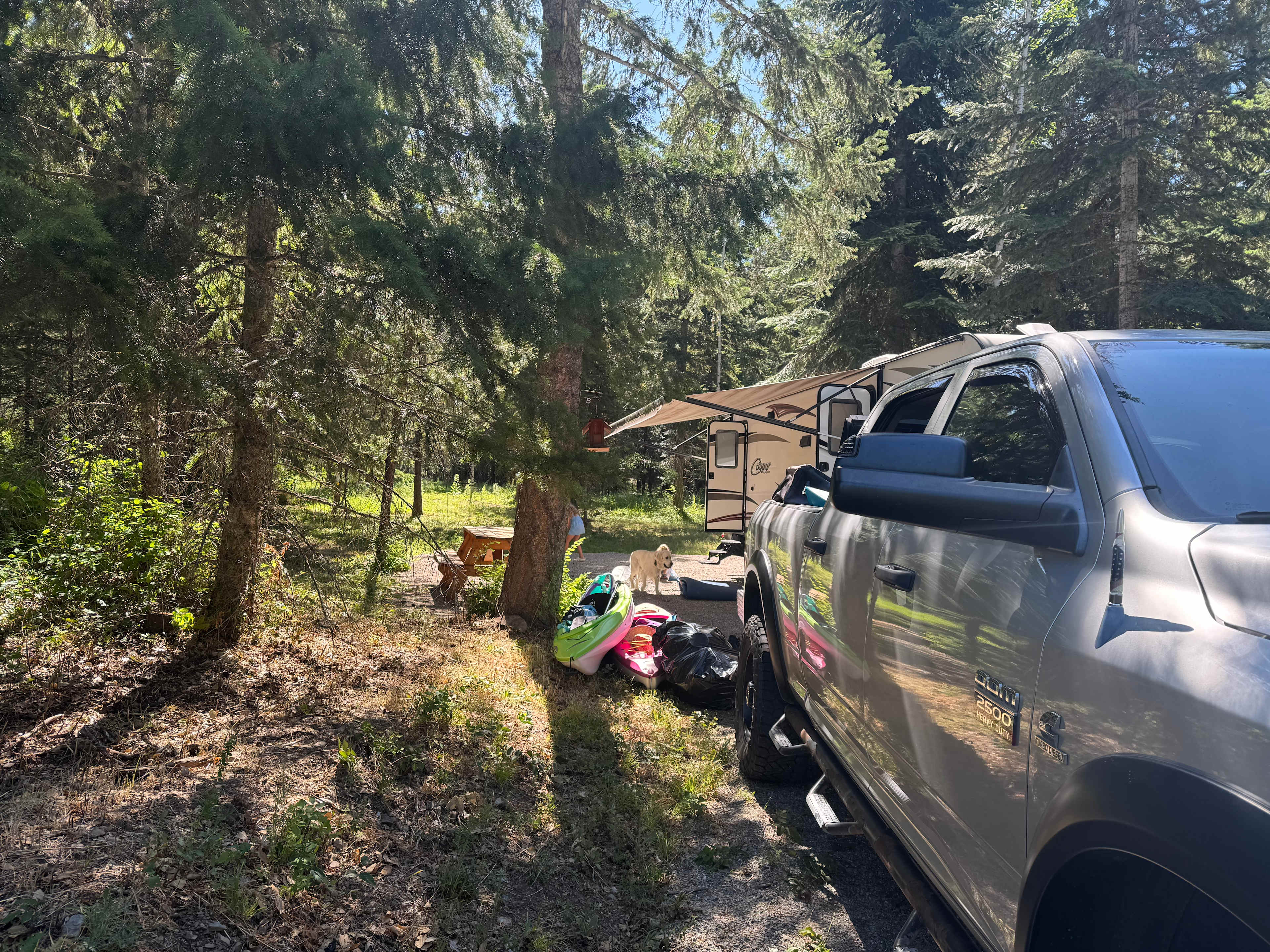 The Mad Moose Ranch