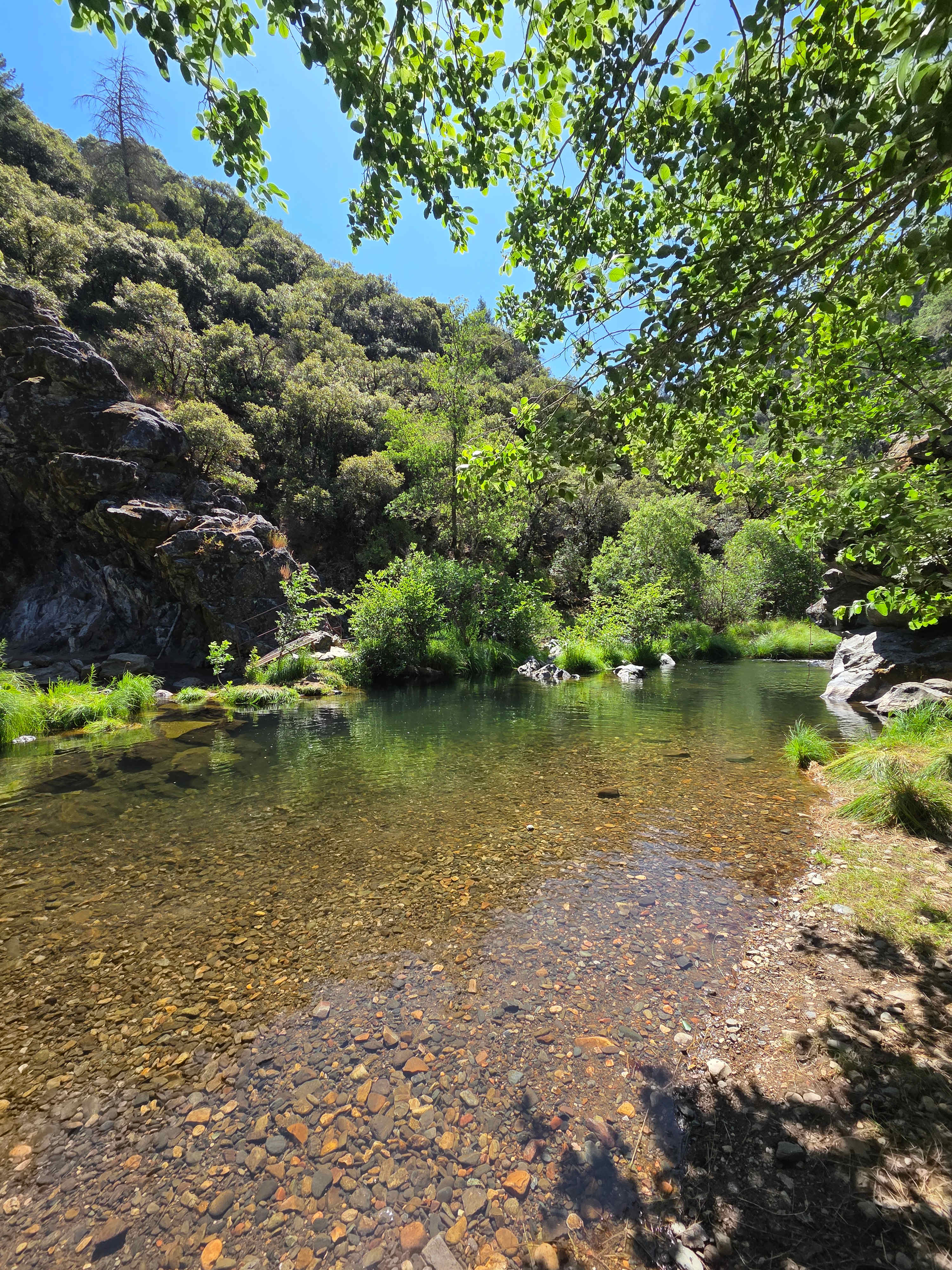 Strange Ranch - River and Gold