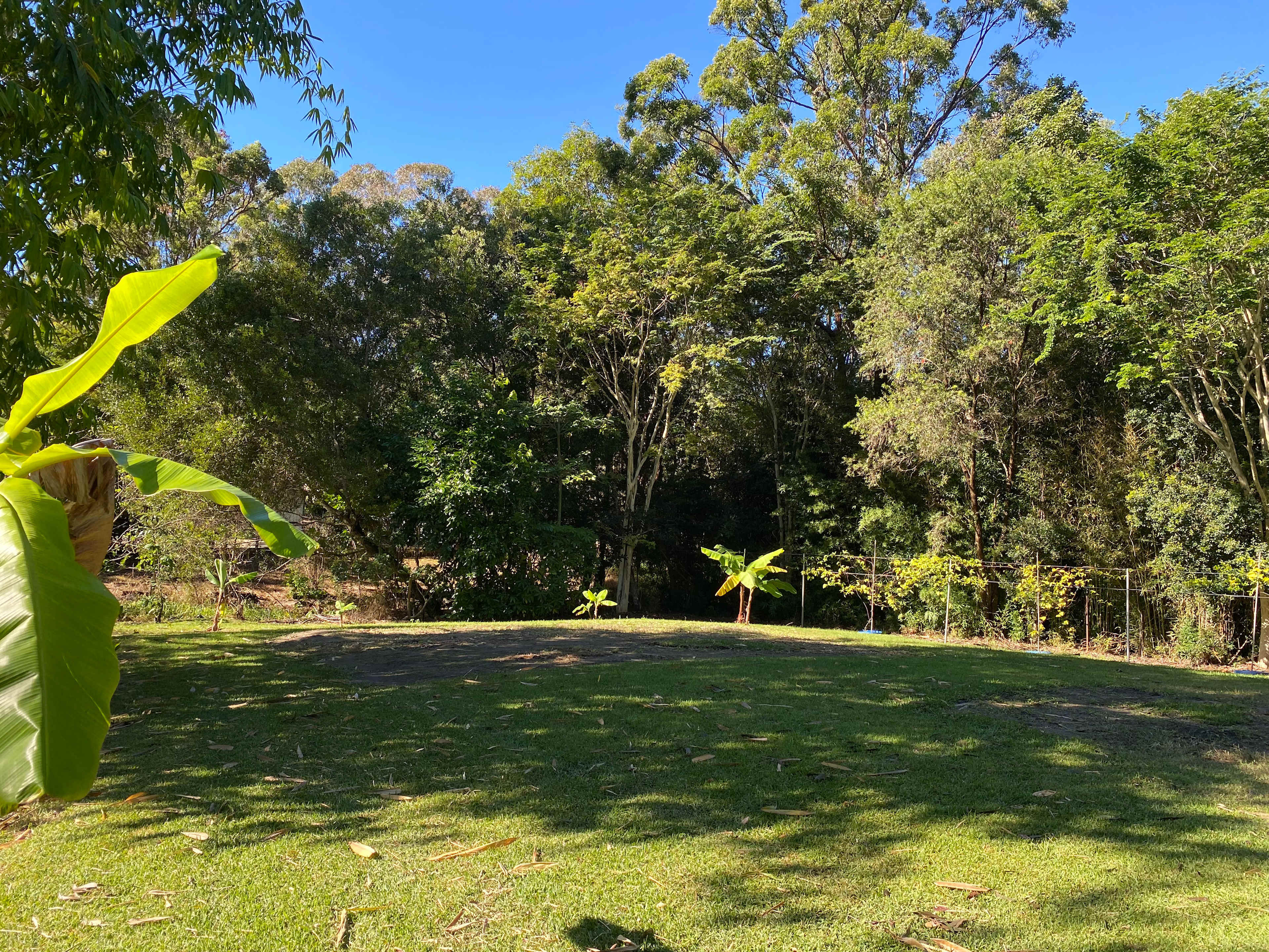 King Parrot Camping