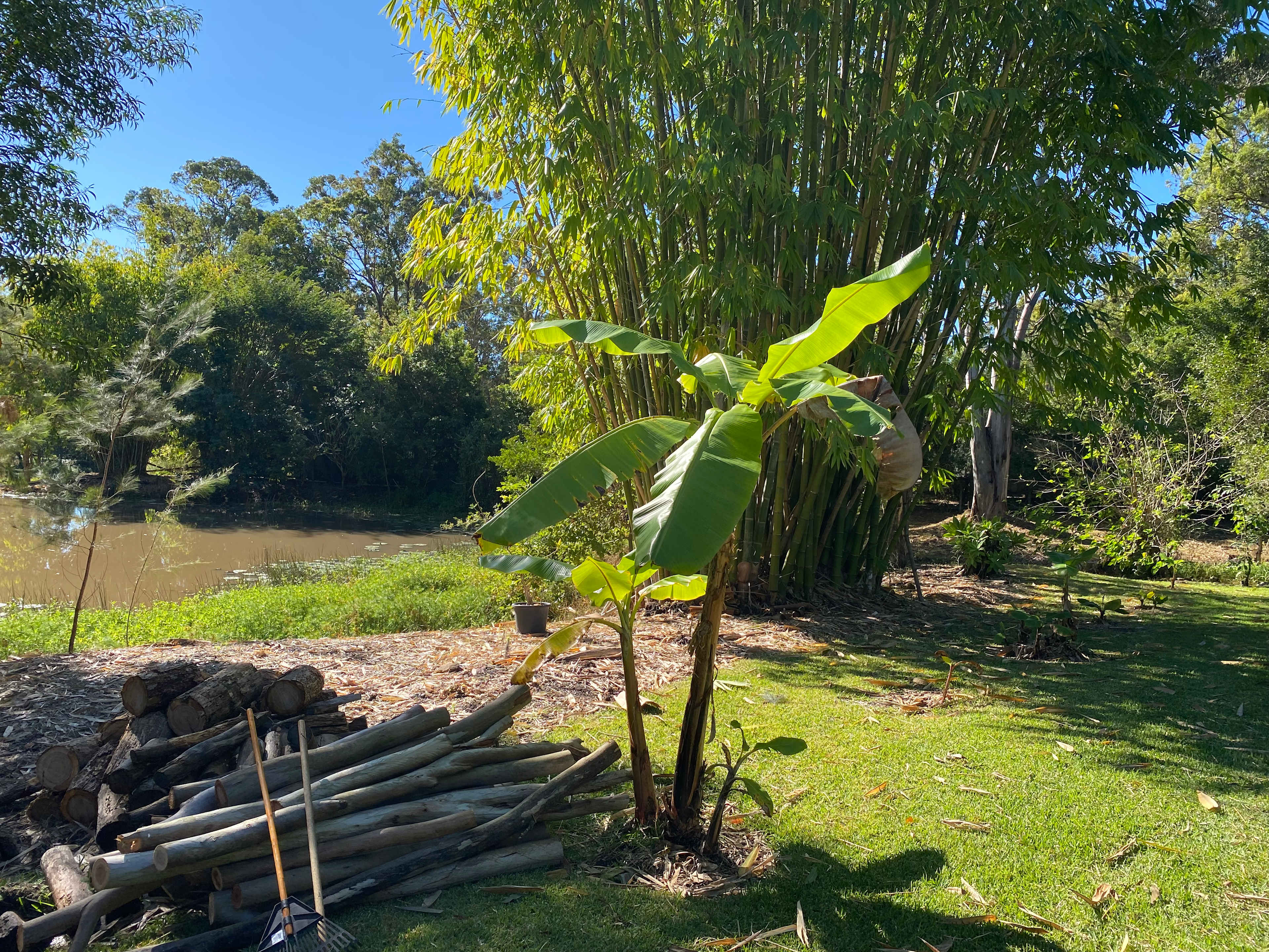 King Parrot Camping