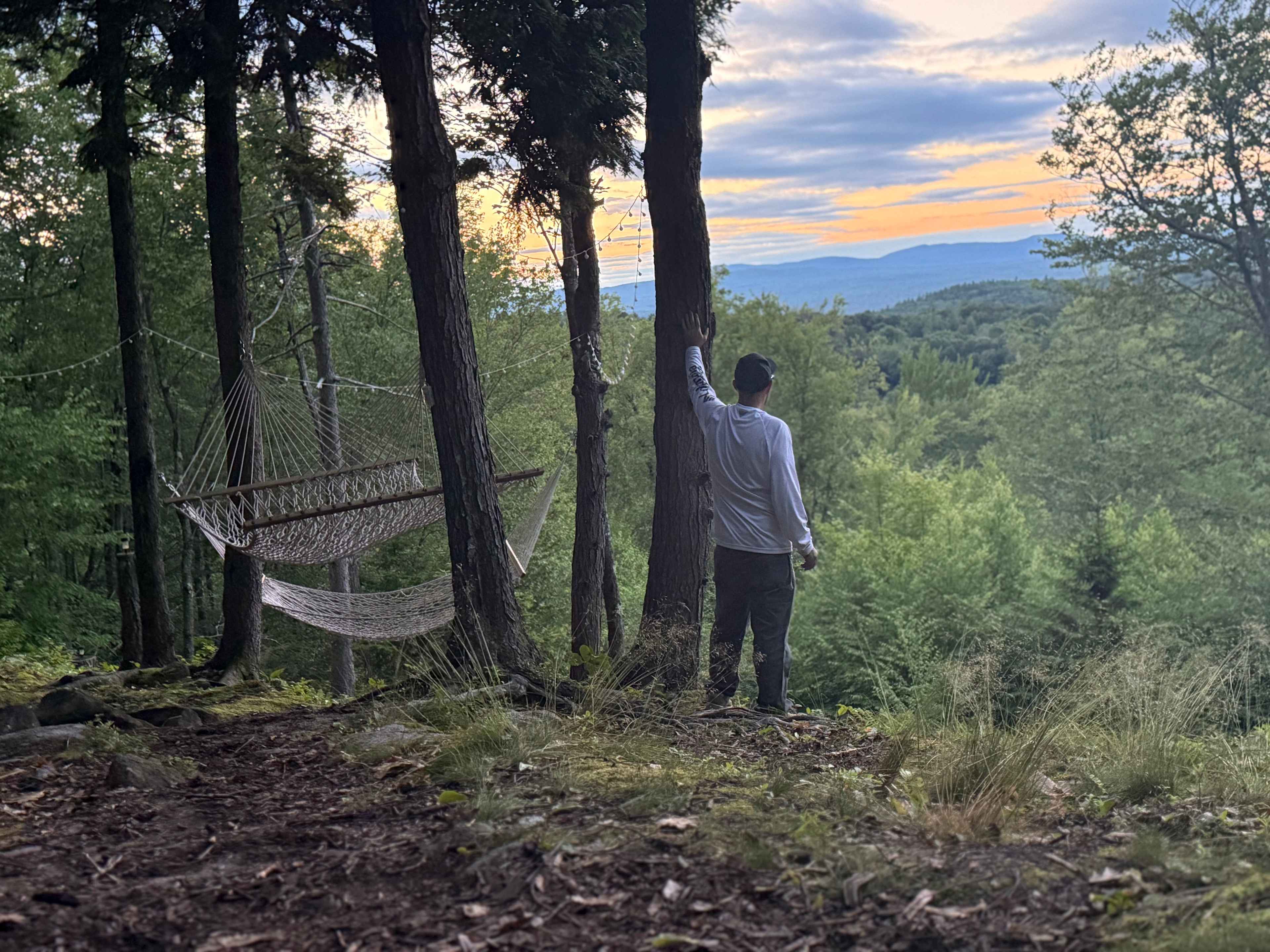 Hussey Mountain Tree Farm