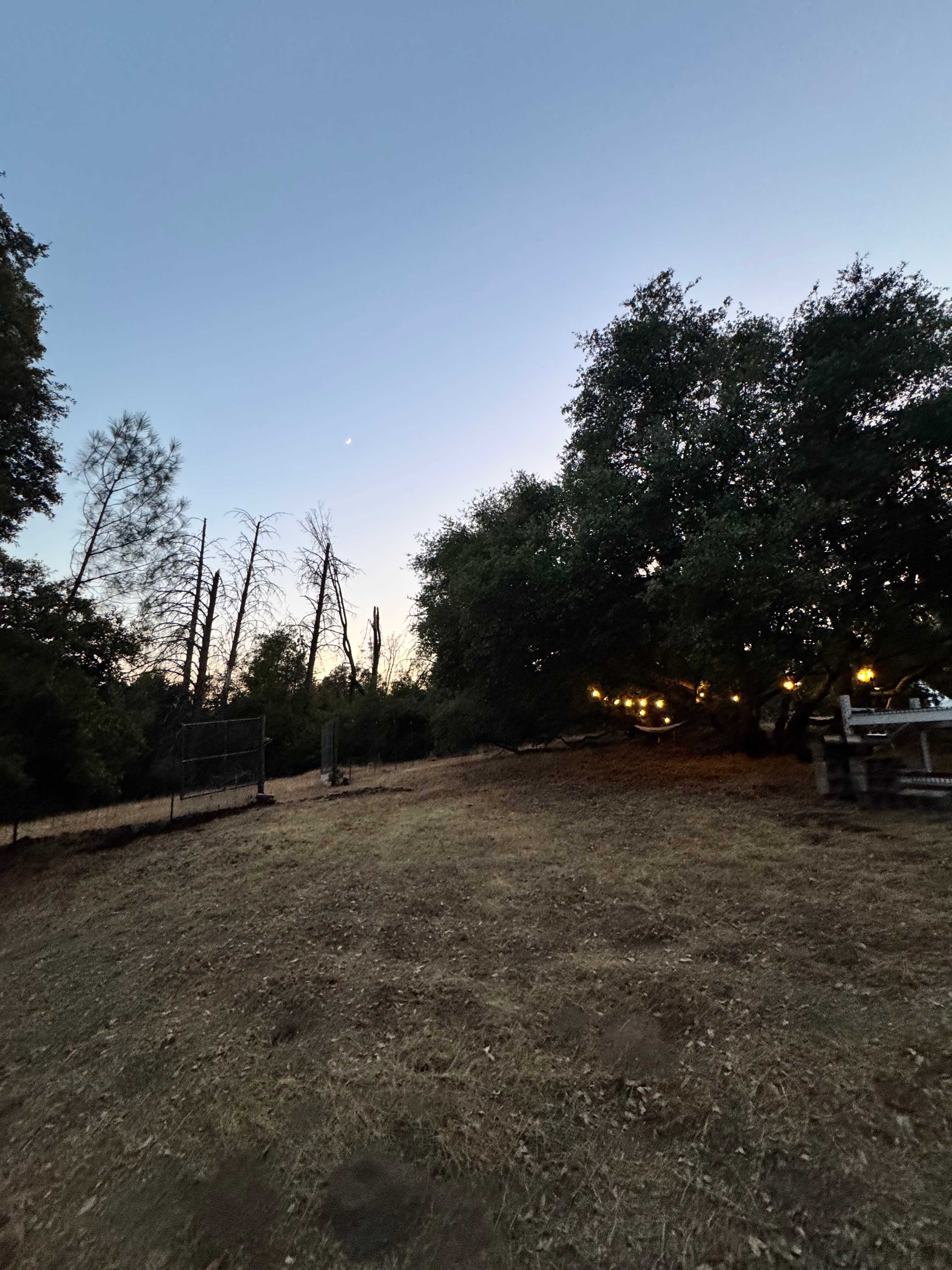 El Niños Oaks