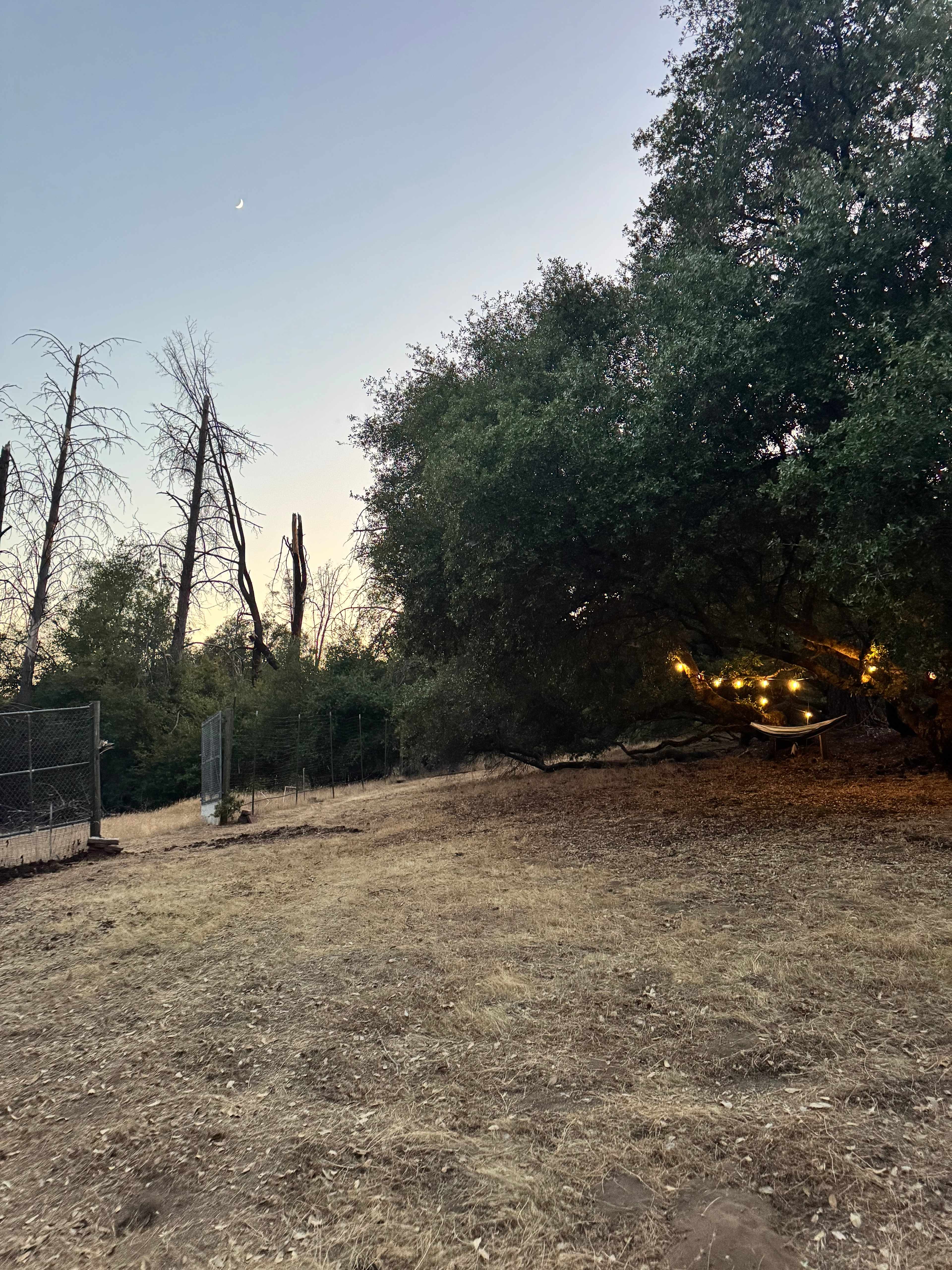 El Niños Oaks