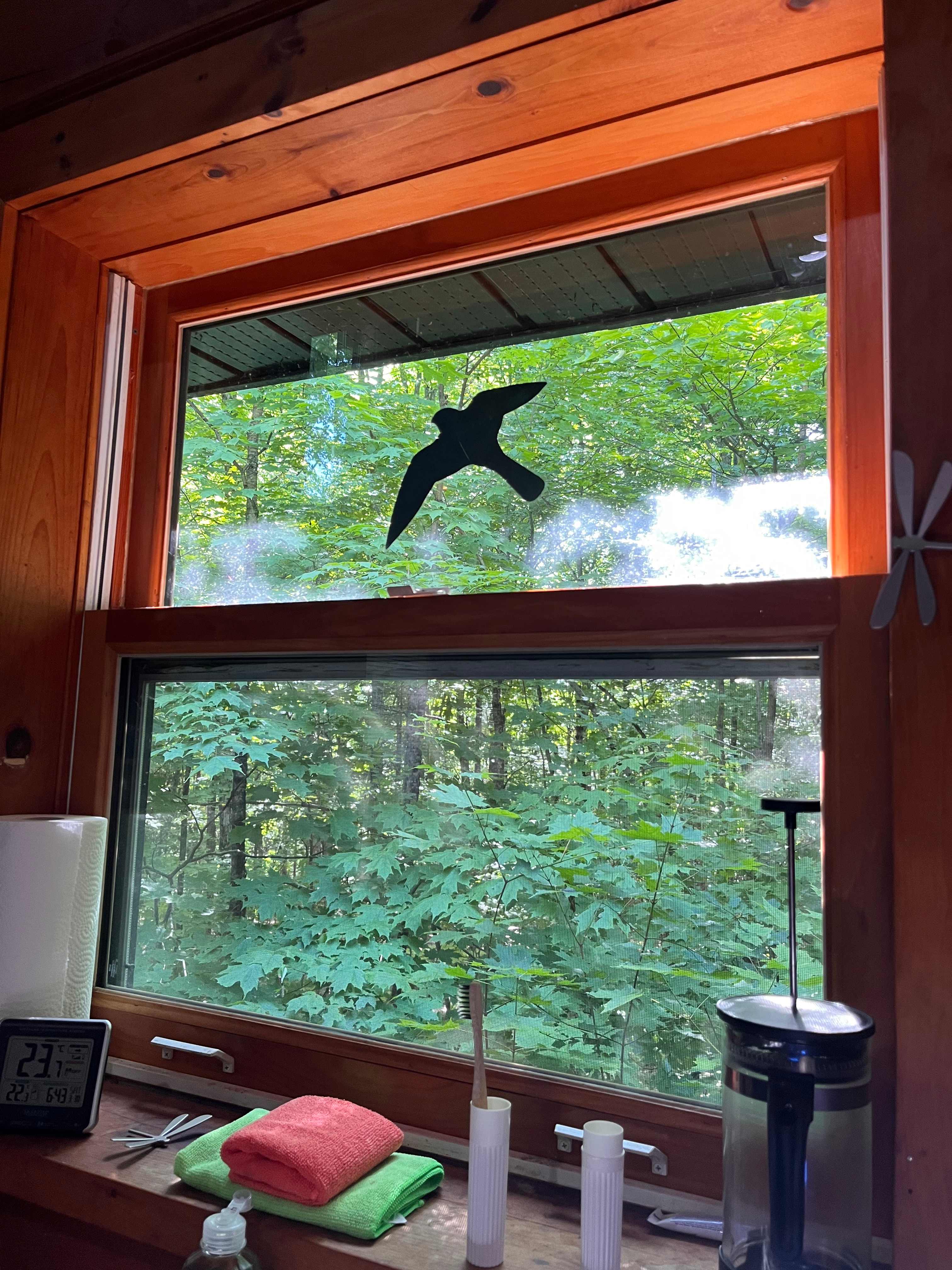 Peaceful Off-Grid Cabin Retreat
